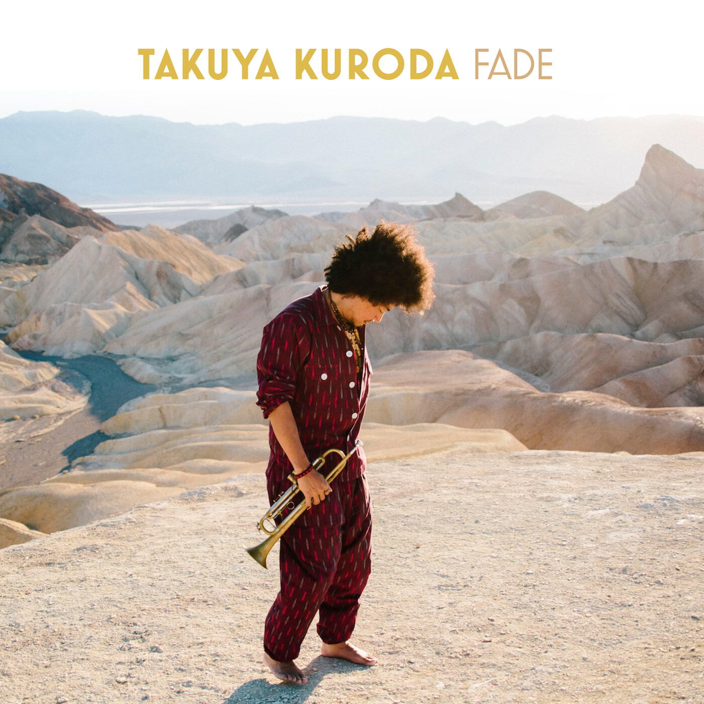 Релиз Fade