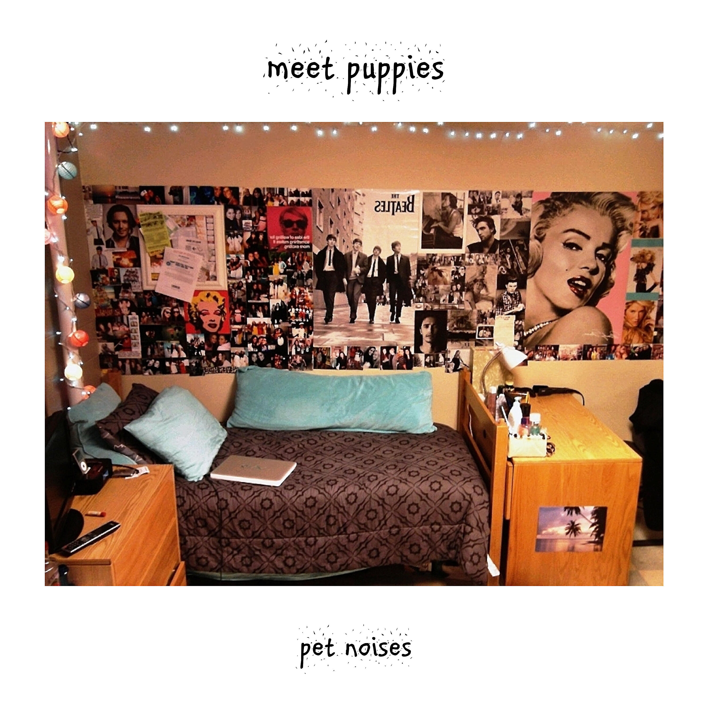 Meet Puppies