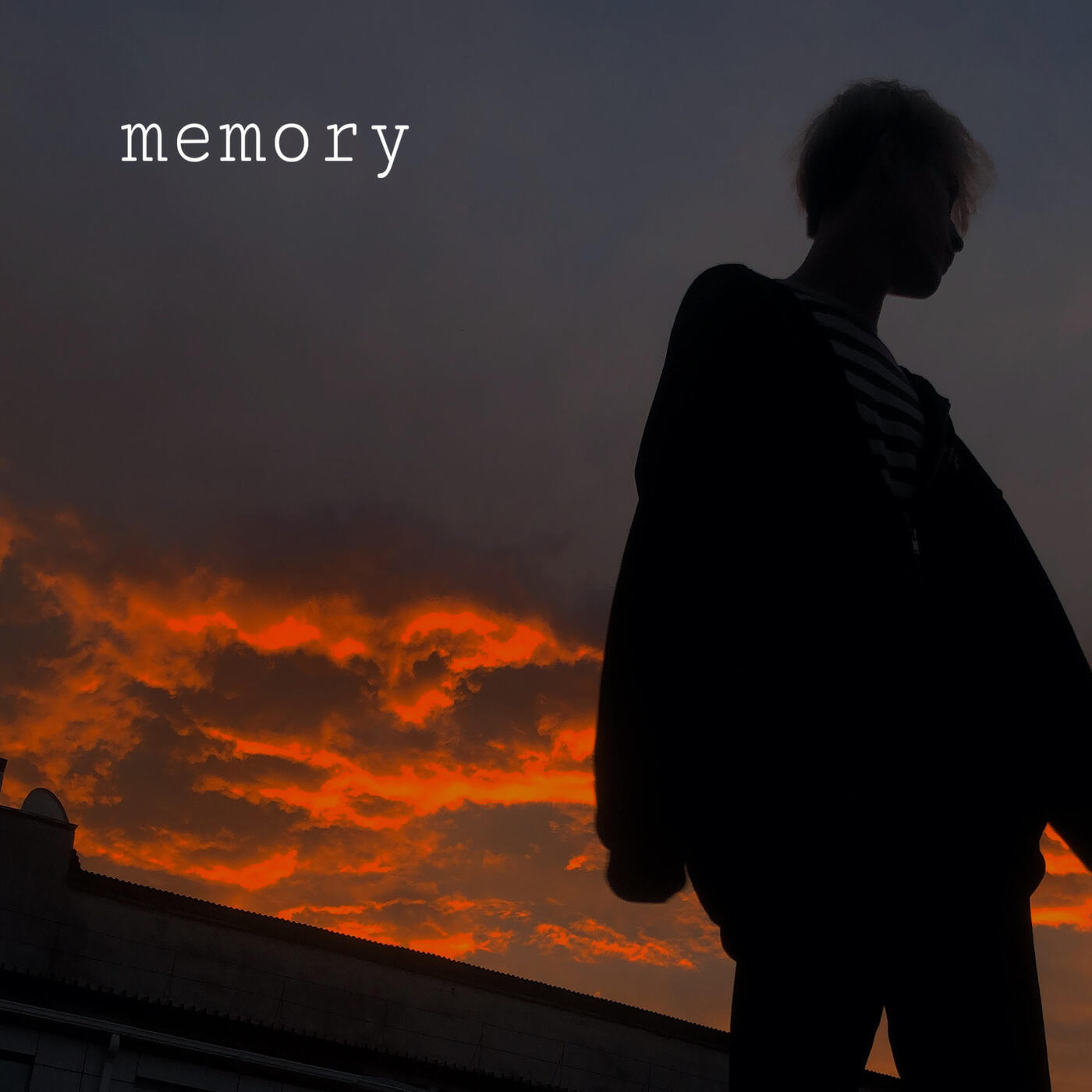 Релиз memory