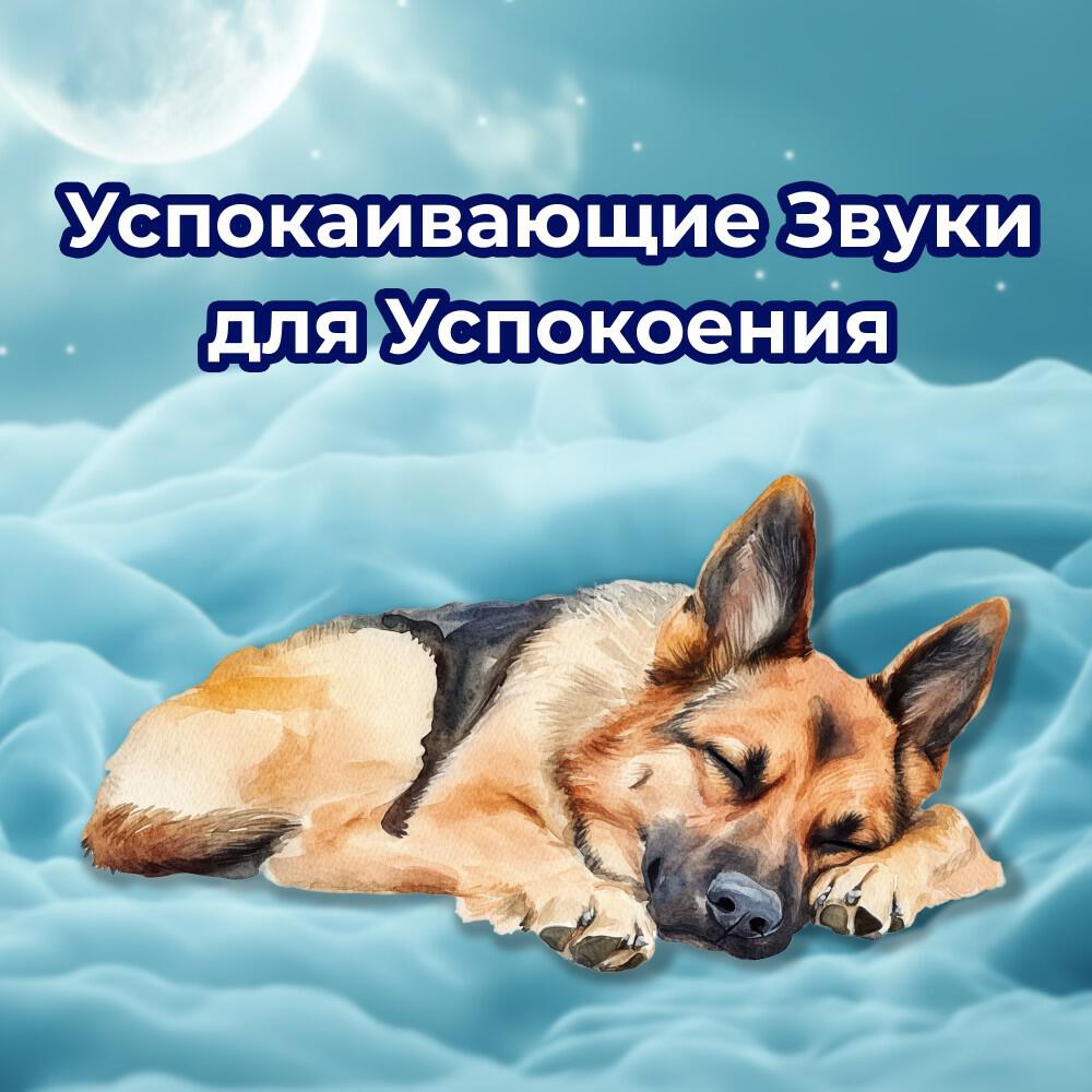 Релиз Белый Шум и Сердцебиение для Тревожных Собак - Успокаивающие Звуки для Успокоения