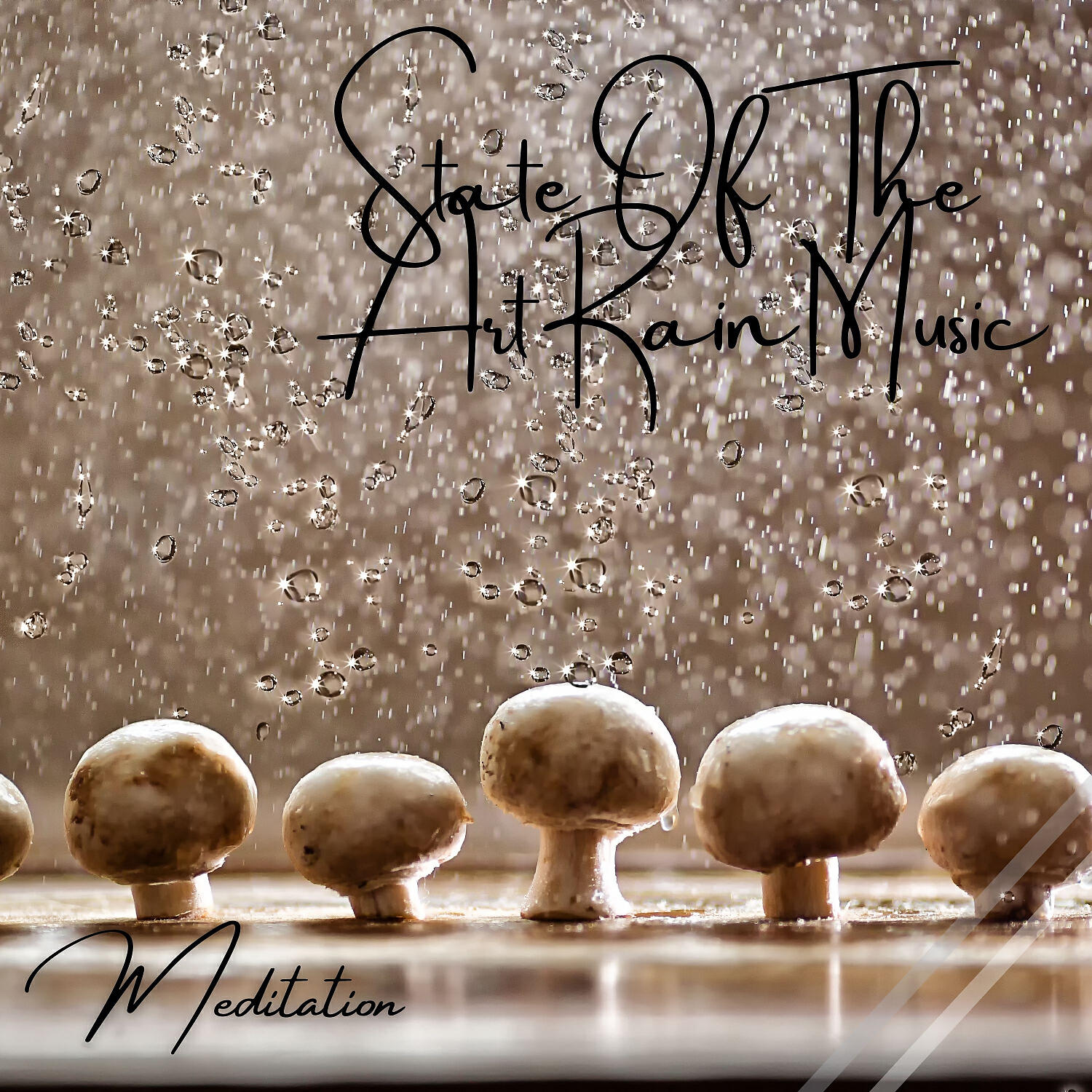 Релиз Meditation: State Of The Art Rain Music