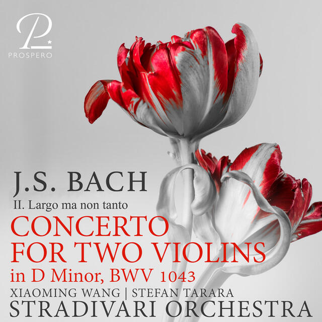Релиз J. S. Bach: Concerto for Two Violins in D Minor, BWV 1043: II. Largo ma non tanto