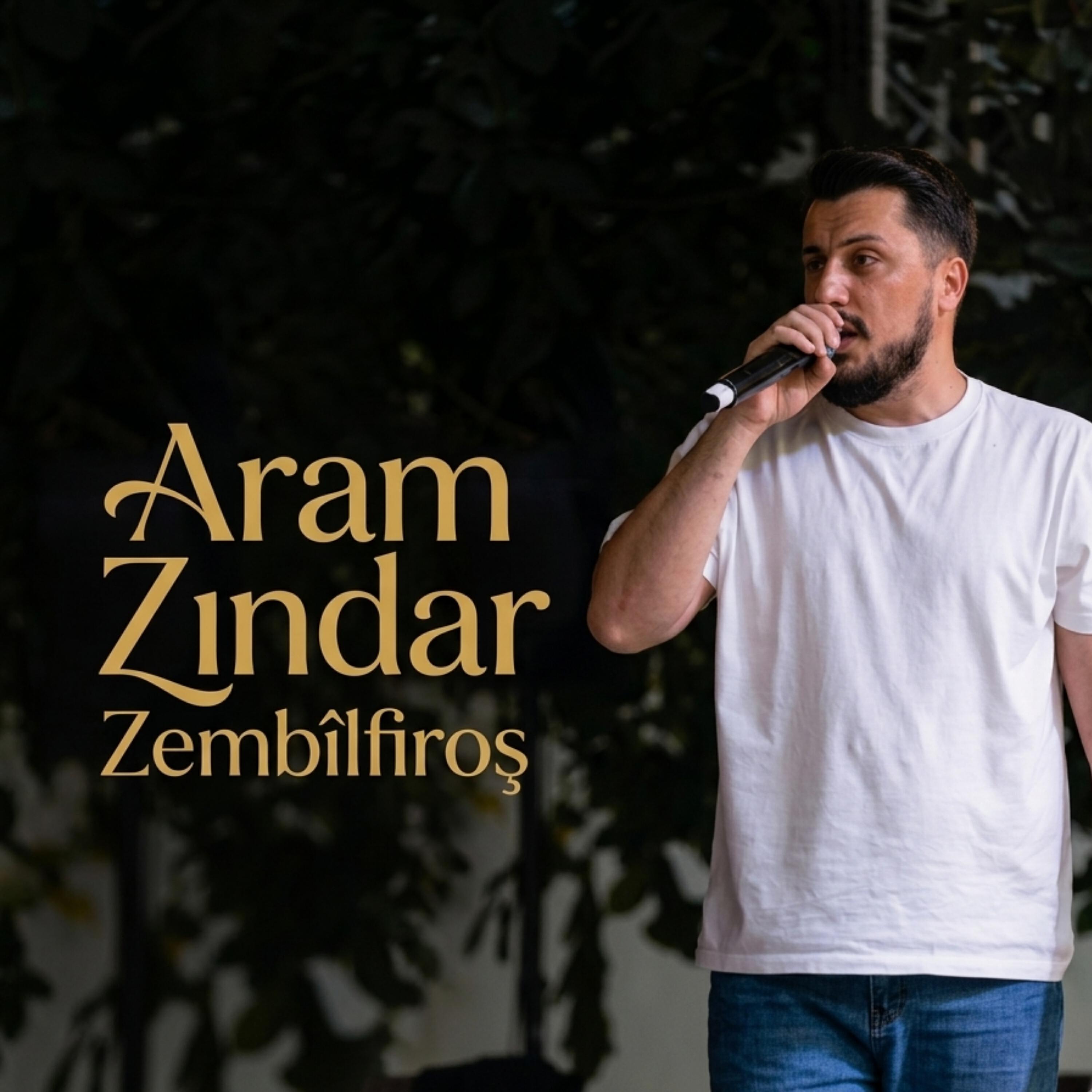 Релиз Zembilfiroş
