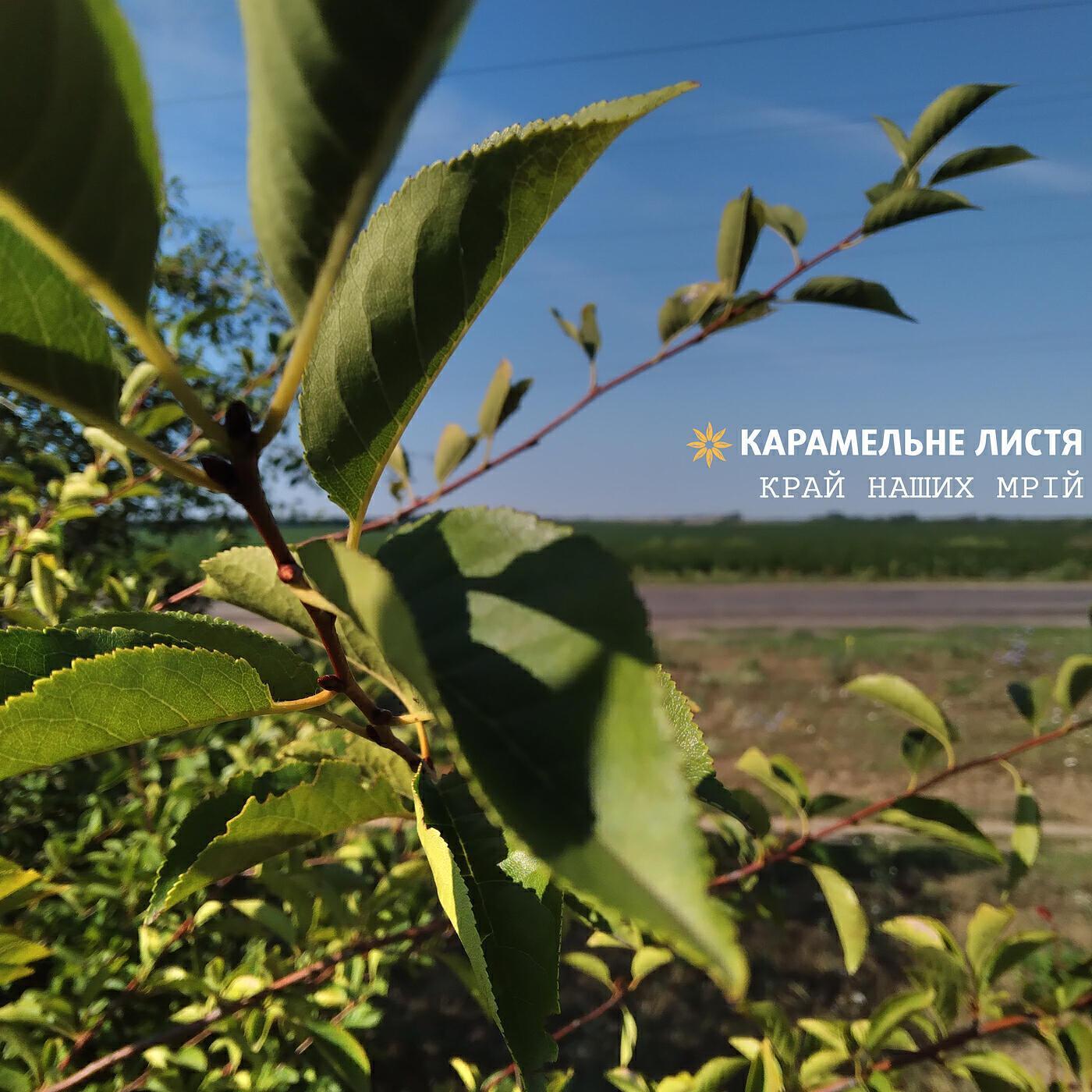 Карамельне Листя