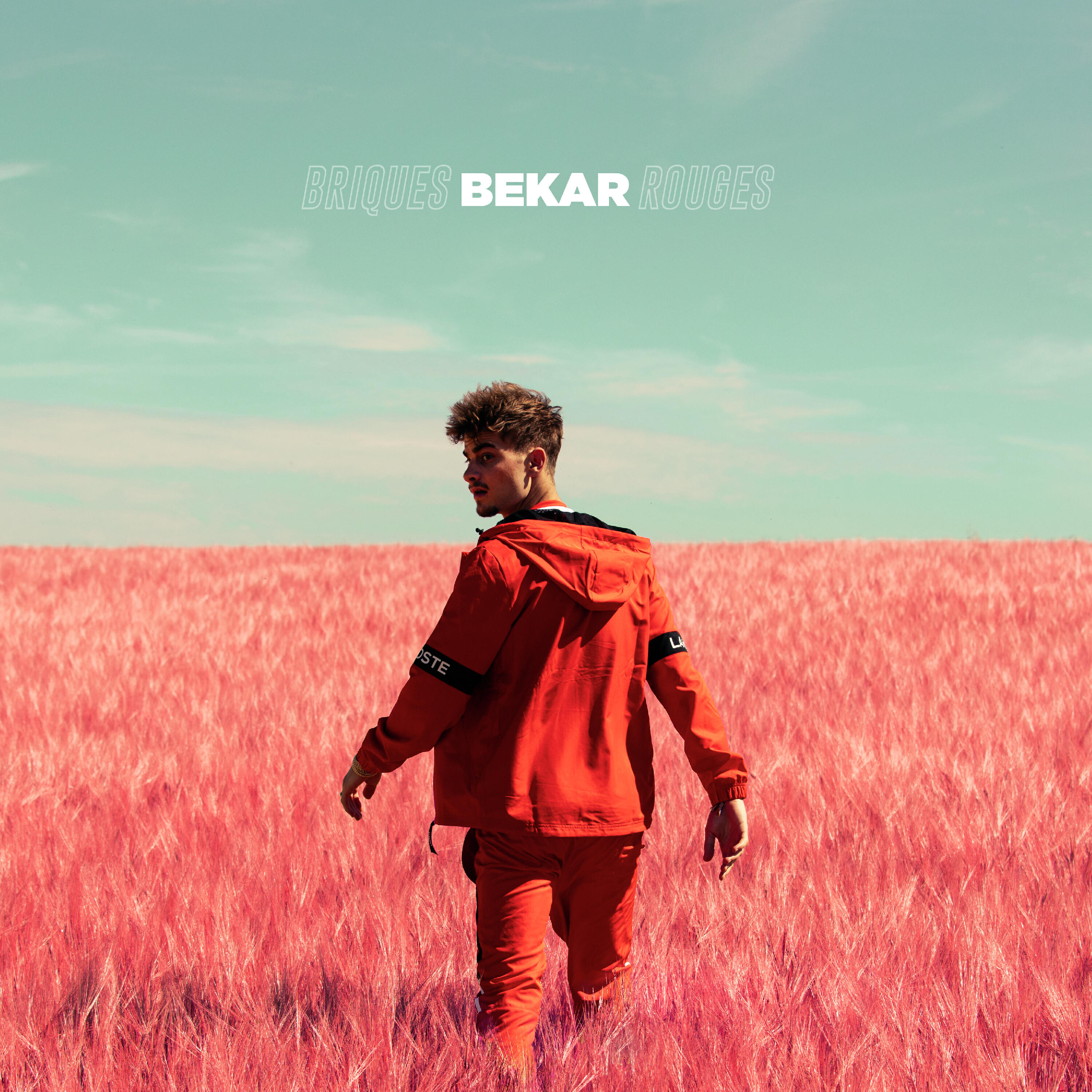 Релиз Briques rouges