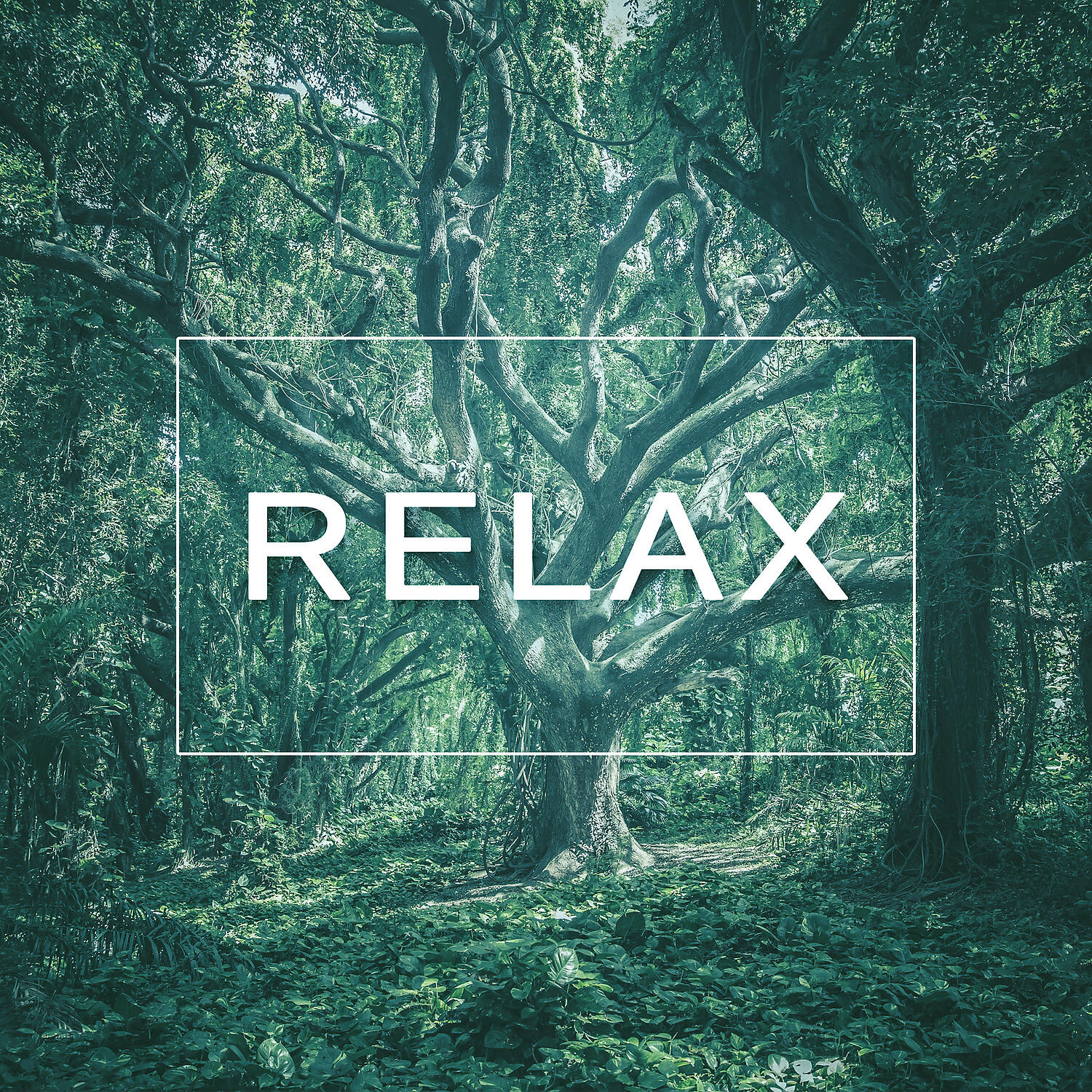 Релиз Relax – Calm Music for Relax, Chill Out, Positive Energy