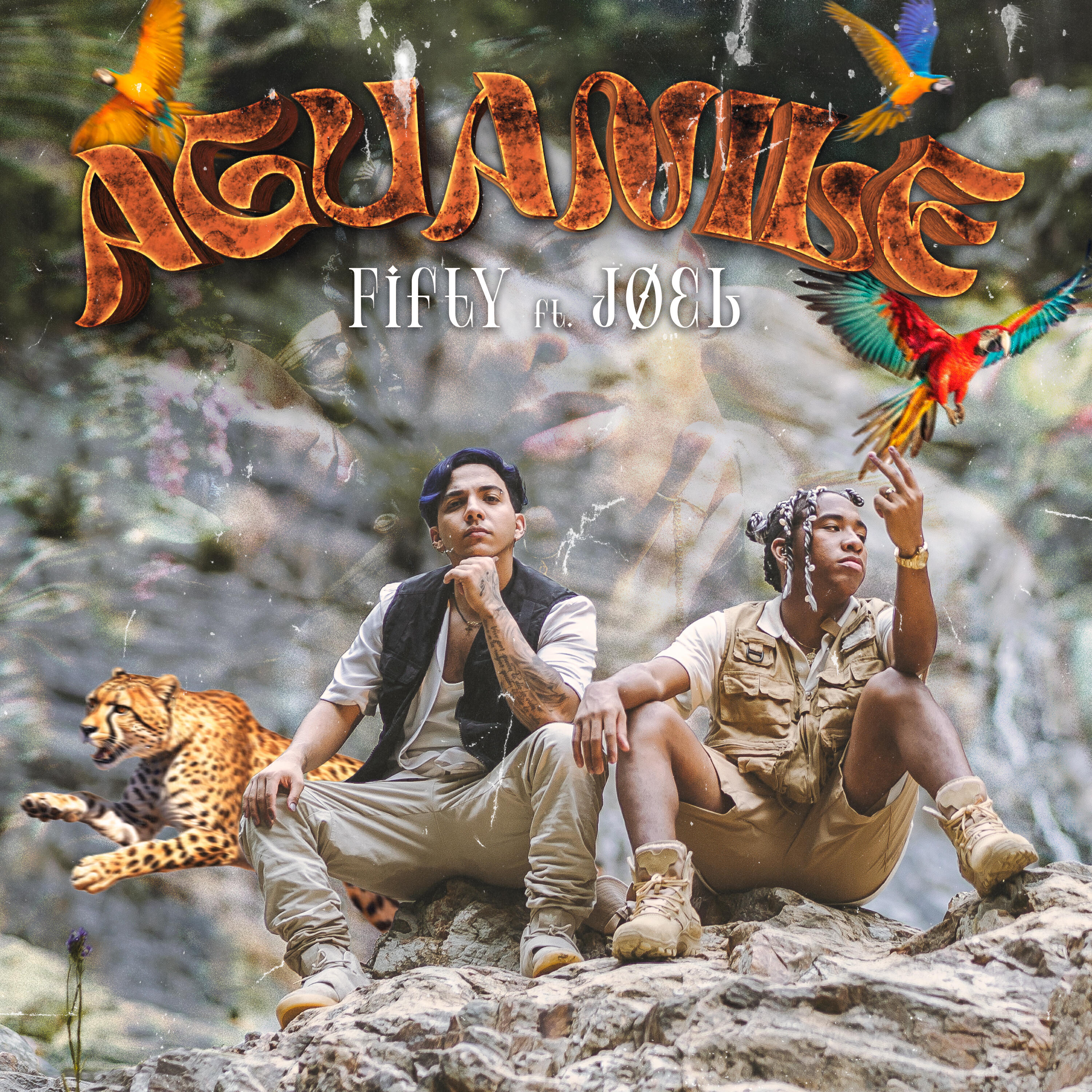 Релиз Aguanile