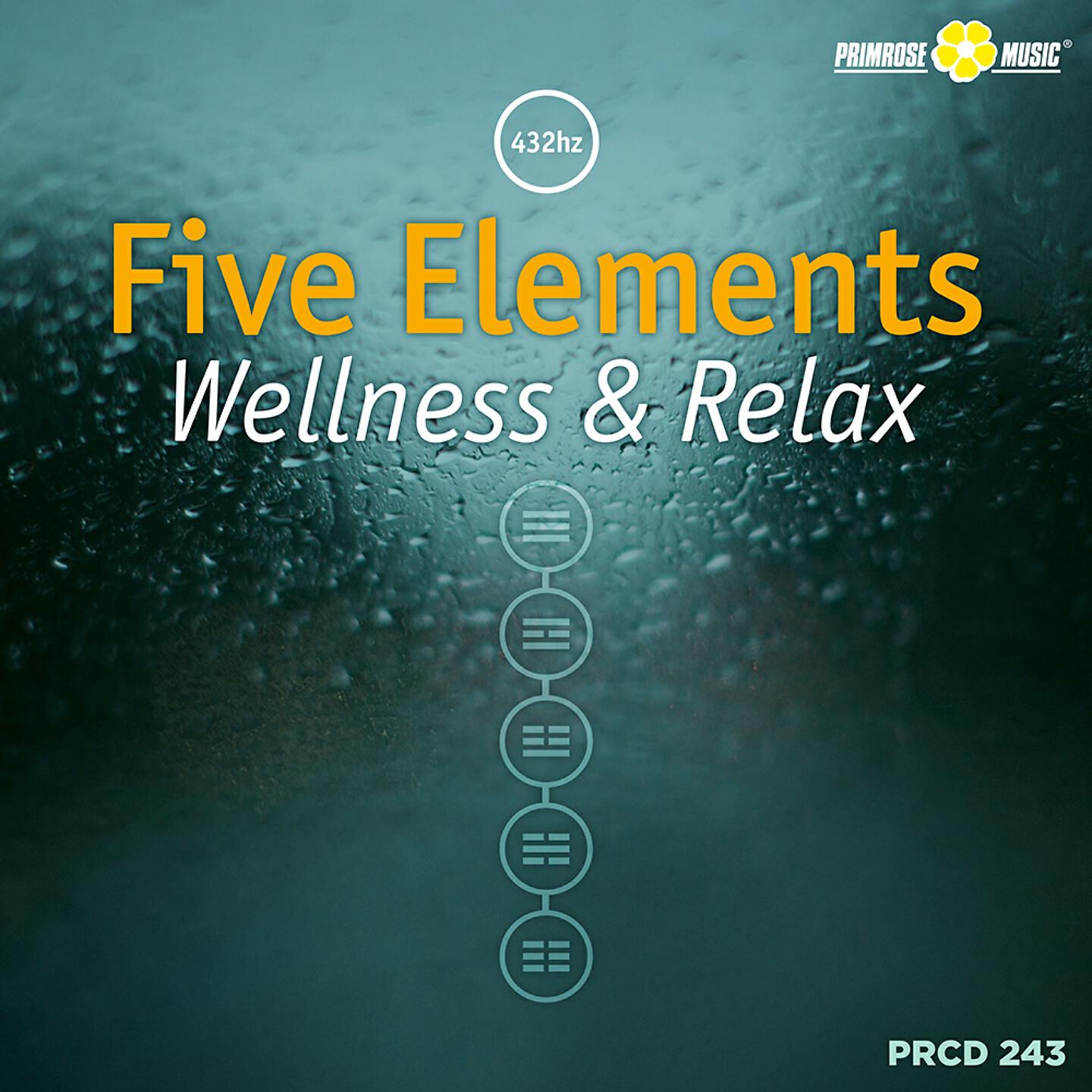 Релиз Five Elements