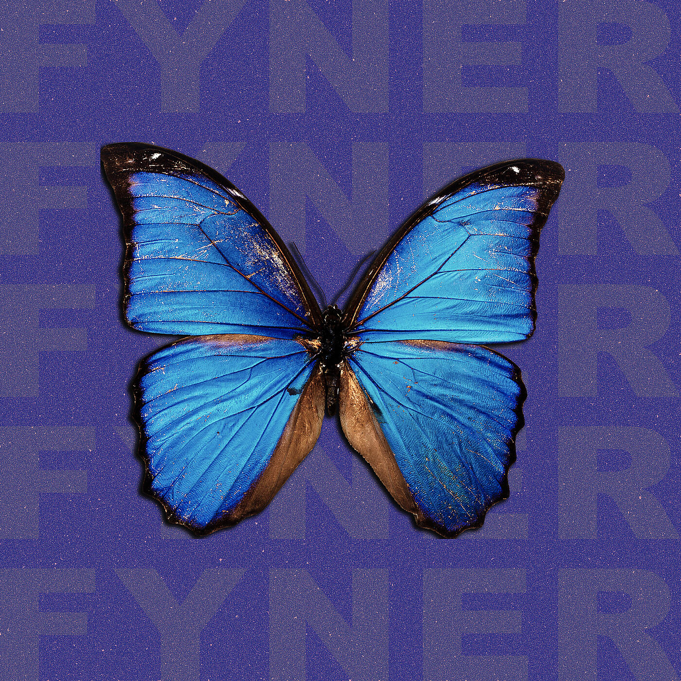 Релиз L'Effet Papillon