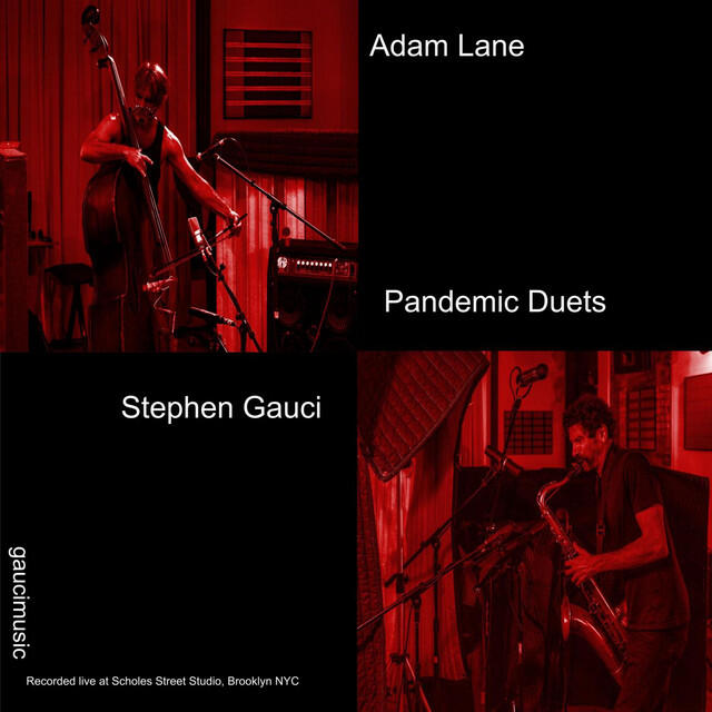 Постер альбома Pandemic Duets