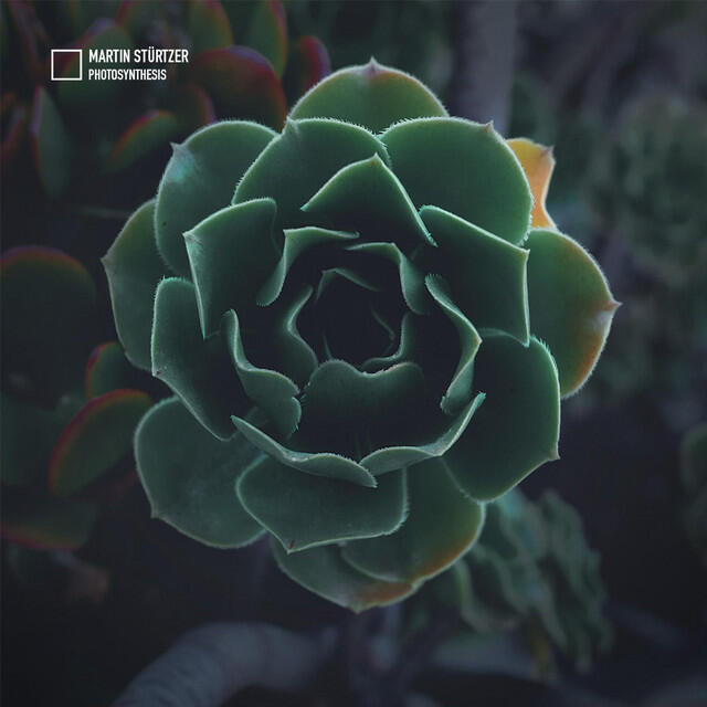 Релиз Photosynthesis