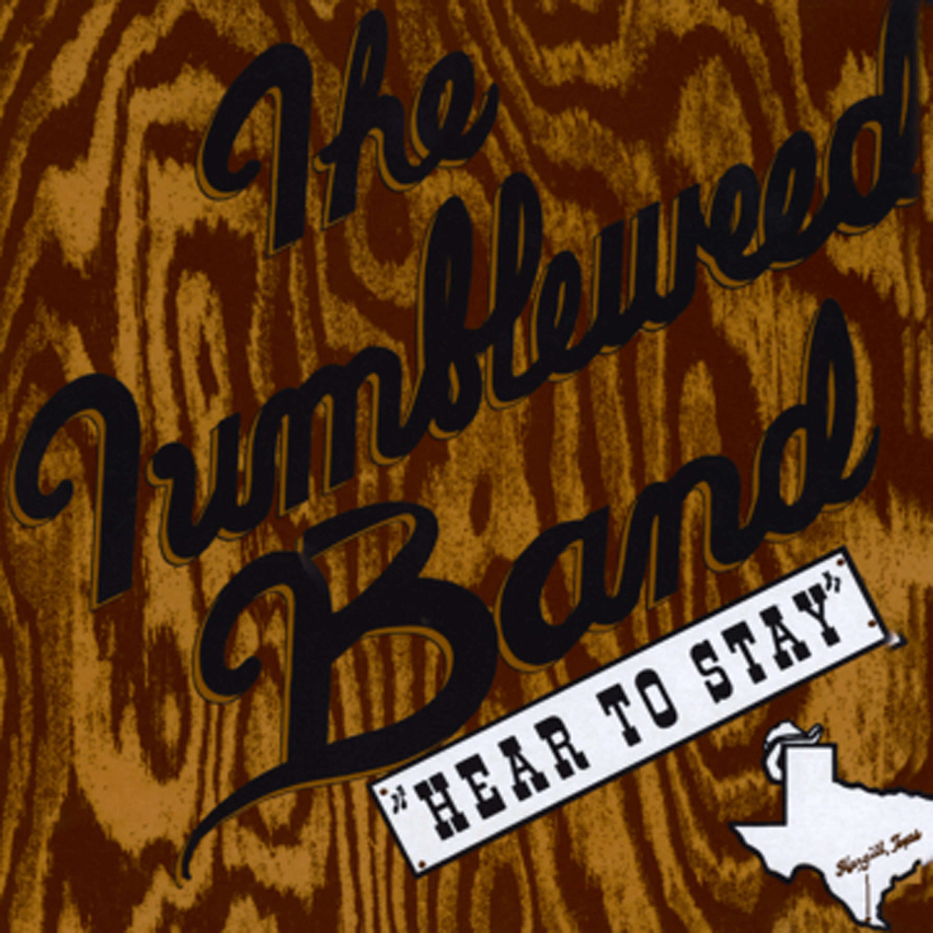 Релиз Here To Stay