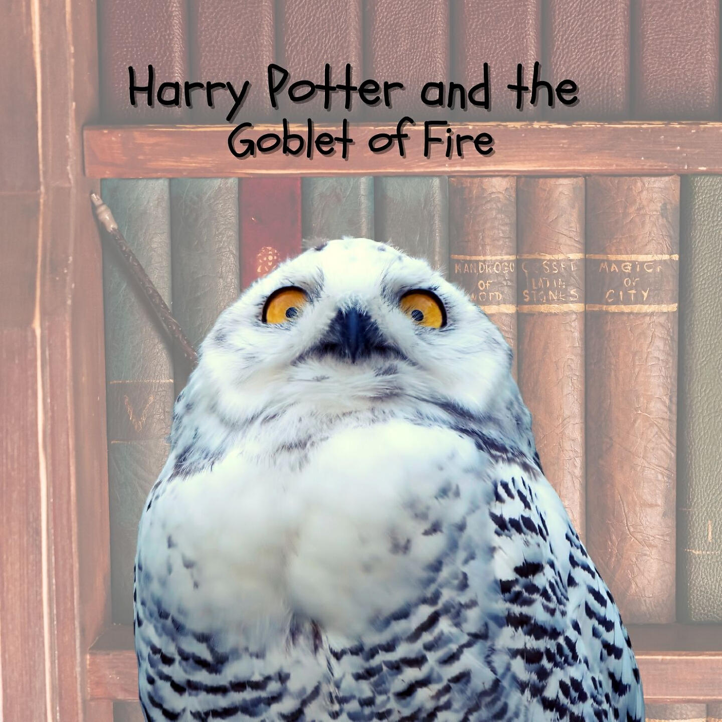 Релиз Harry Potter and the Goblet of Fire