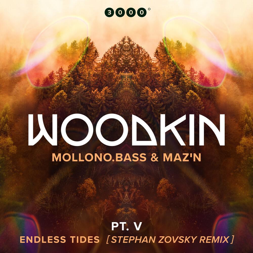 Релиз Endless Tides (Stephan Zovsky Remix)