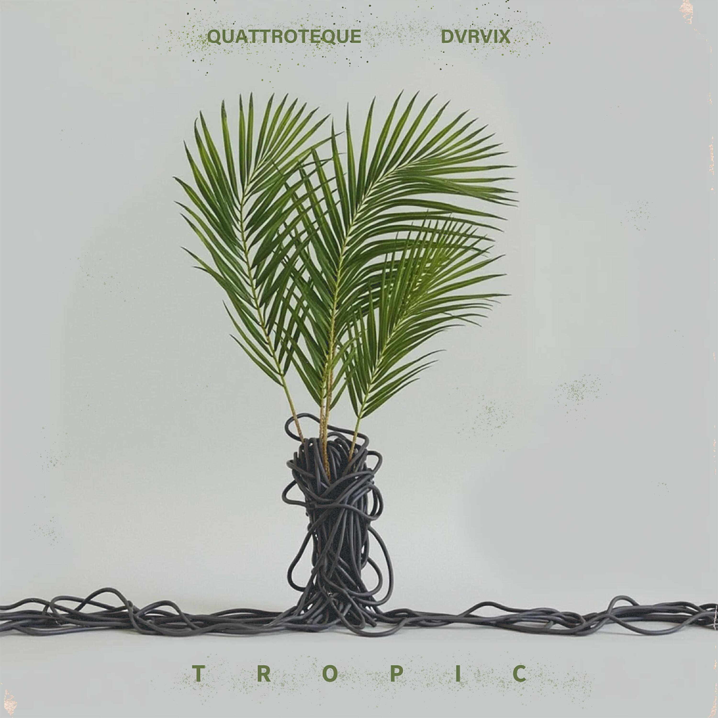 Релиз Tropic