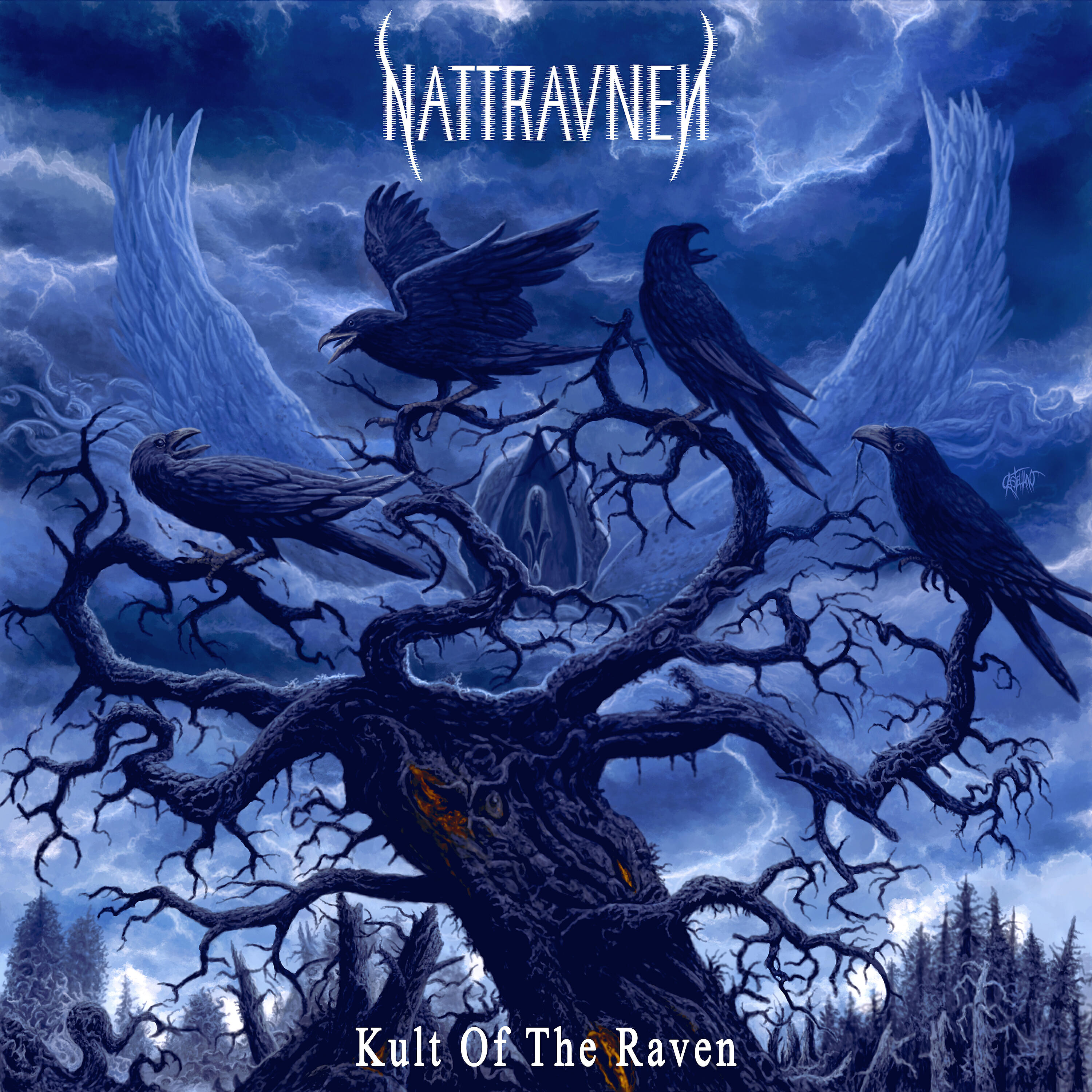 Nattravnen