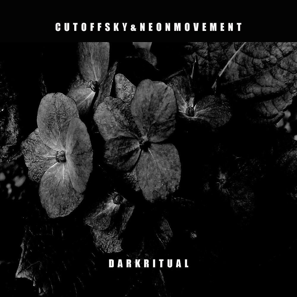 Постер альбома Dark Ritual