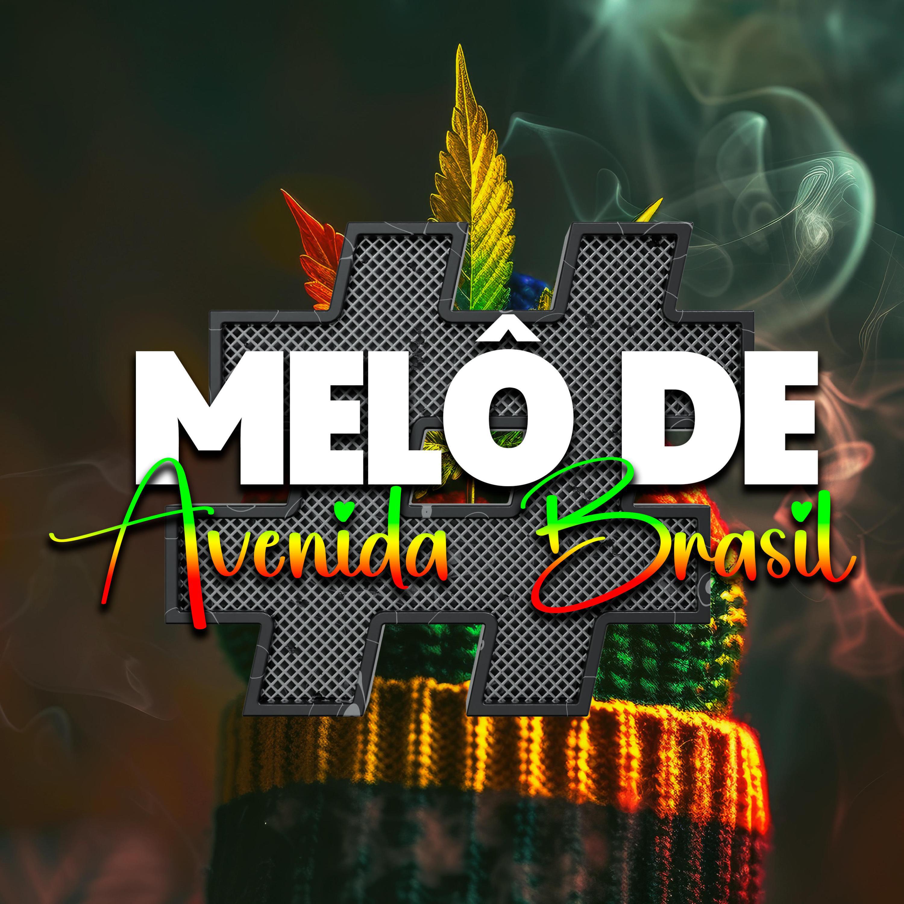 Релиз Melô de Avenida Brasil (Pancadão Transa Som)