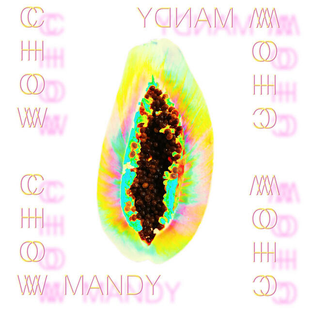Chow Chow Mandy