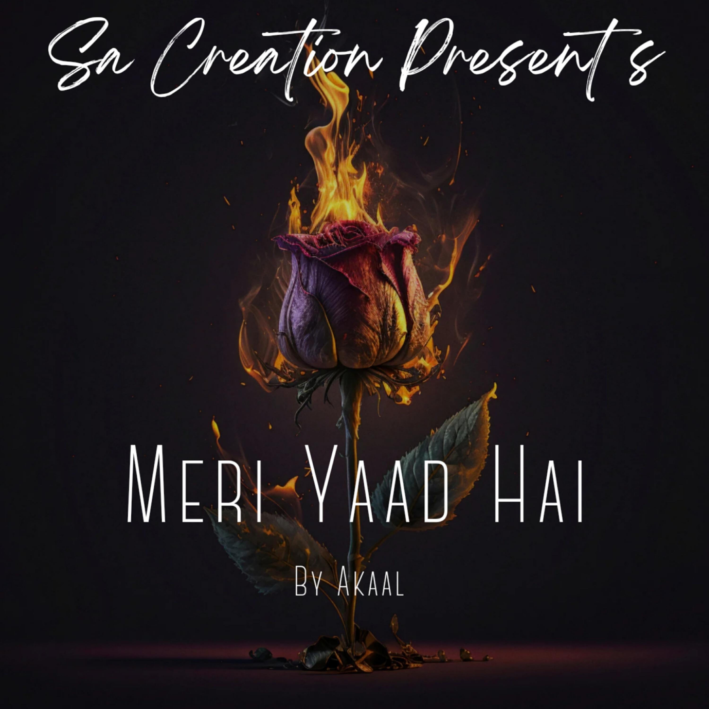 Релиз Meri Yaad Hai