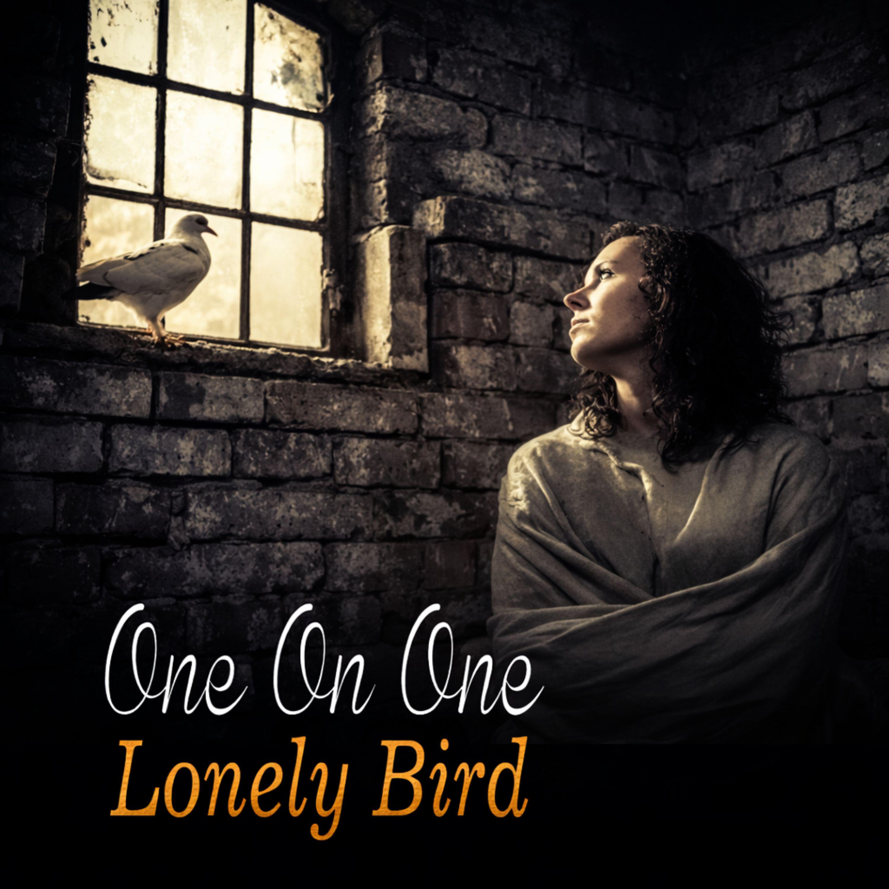 Релиз Lonely Bird