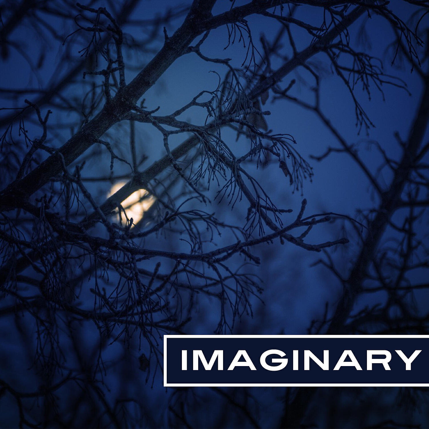 Релиз Imaginary - Sleep is a Remedy, Action Relaxing, Time to Rest, Dream Catch, Go Sleep, Lazy History, Sounds like Lullabies
