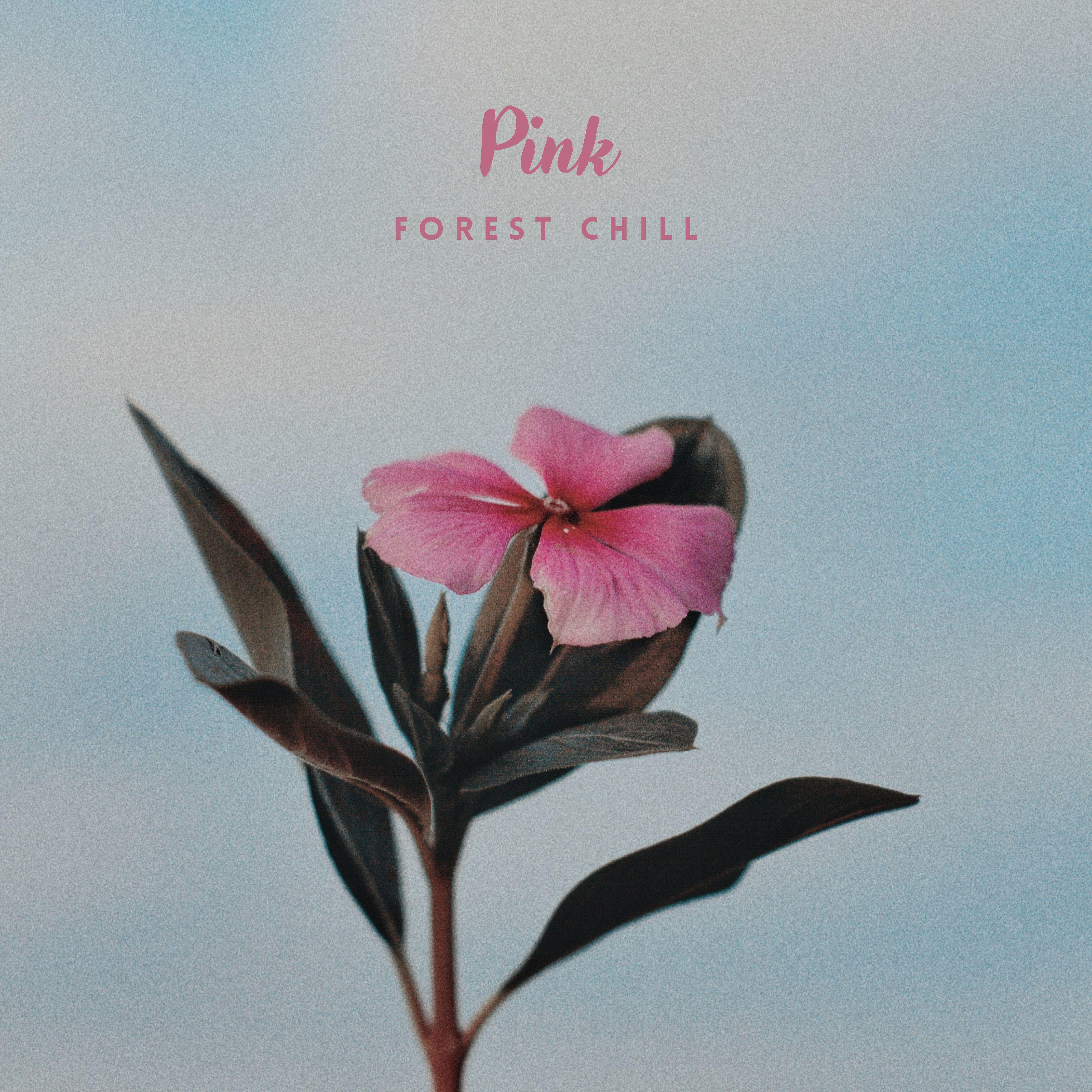 Релиз Pink