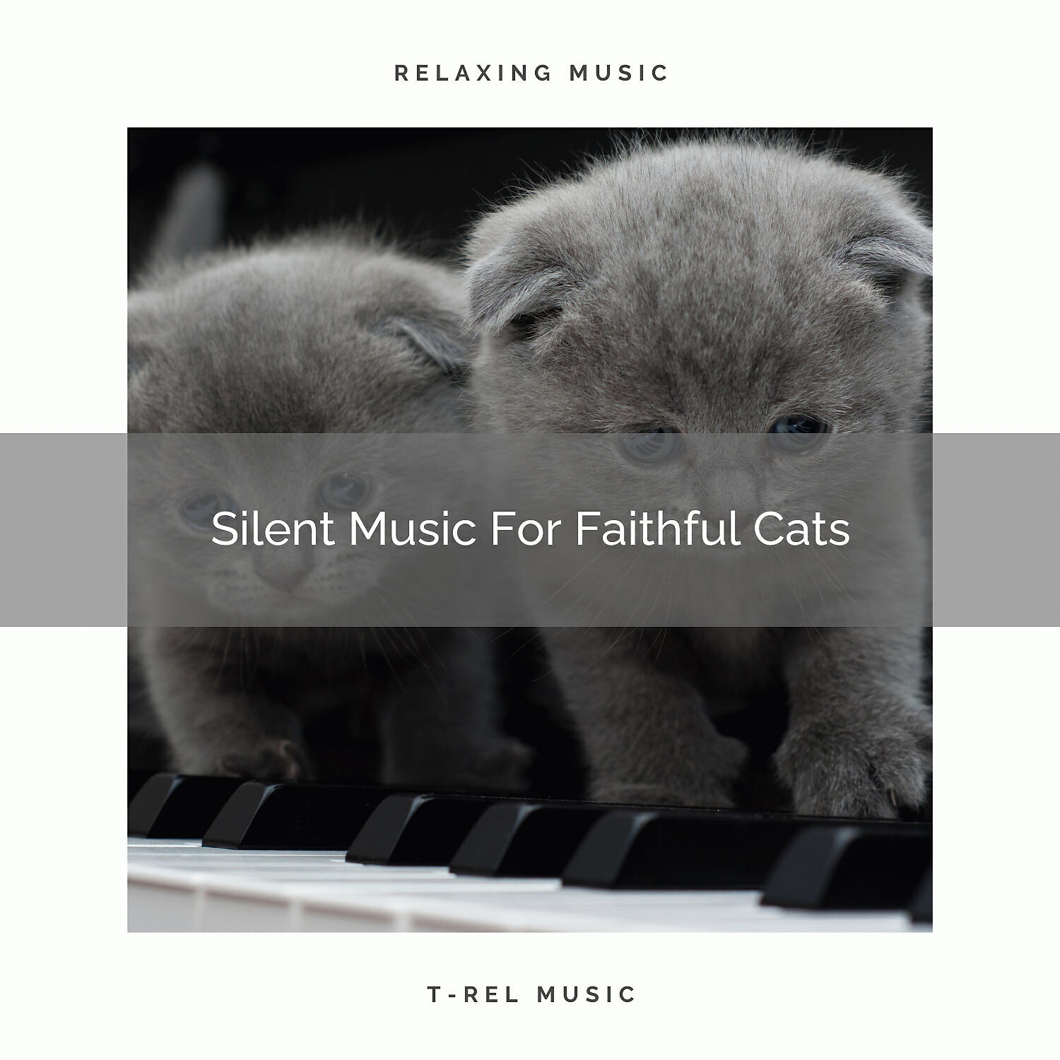 Релиз Silent Music For Faithful Cats