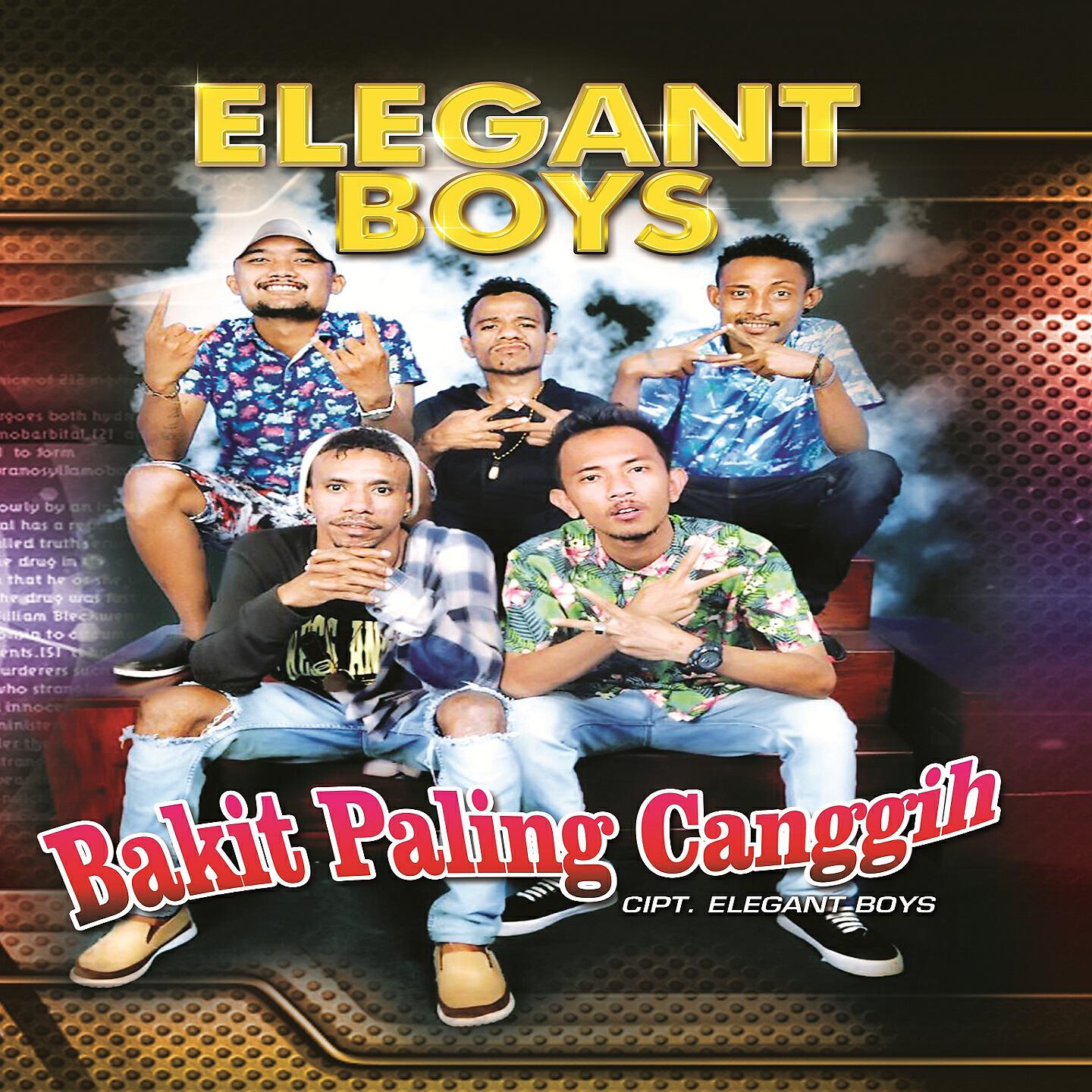Релиз Elegant Boys