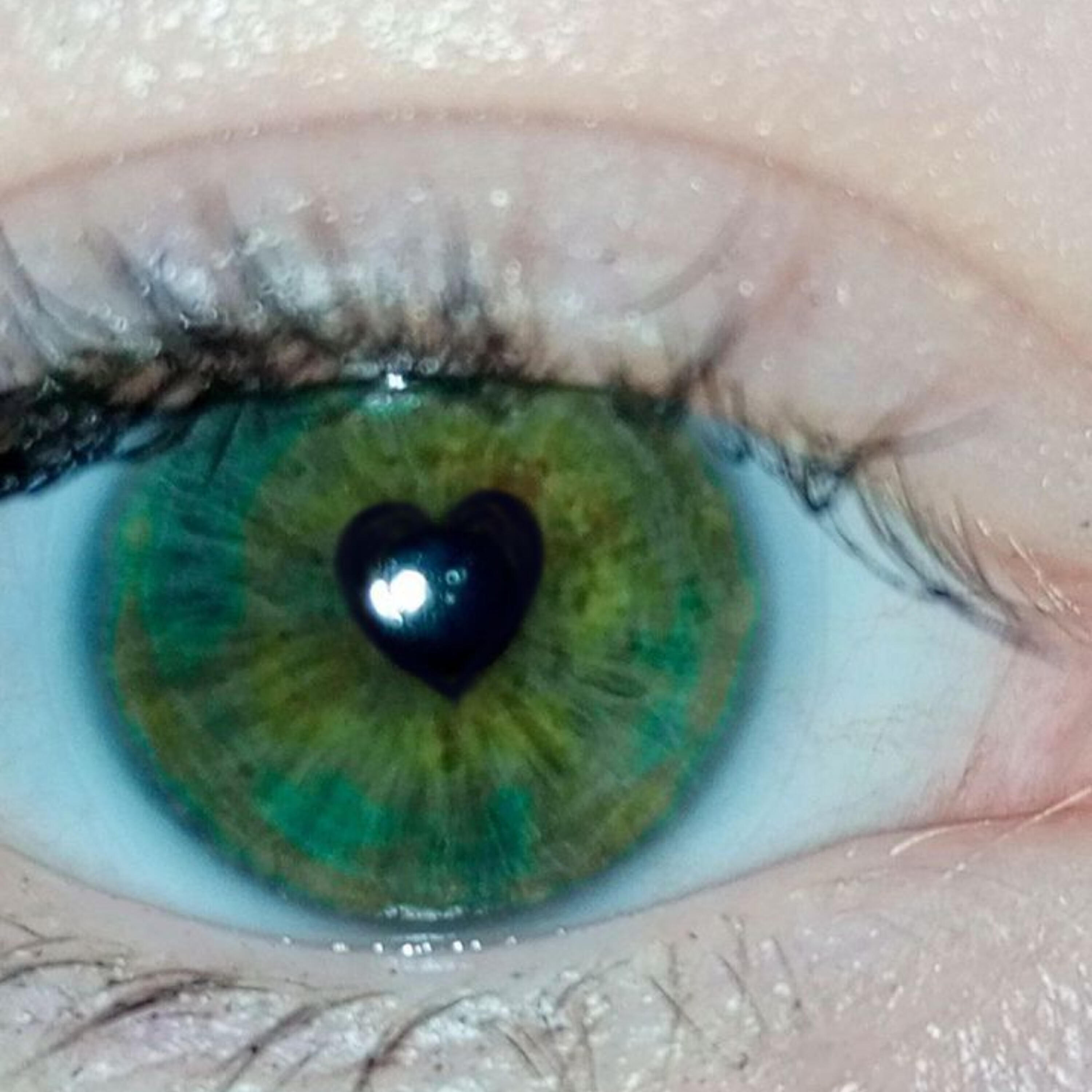 Релиз Green my Eyes
