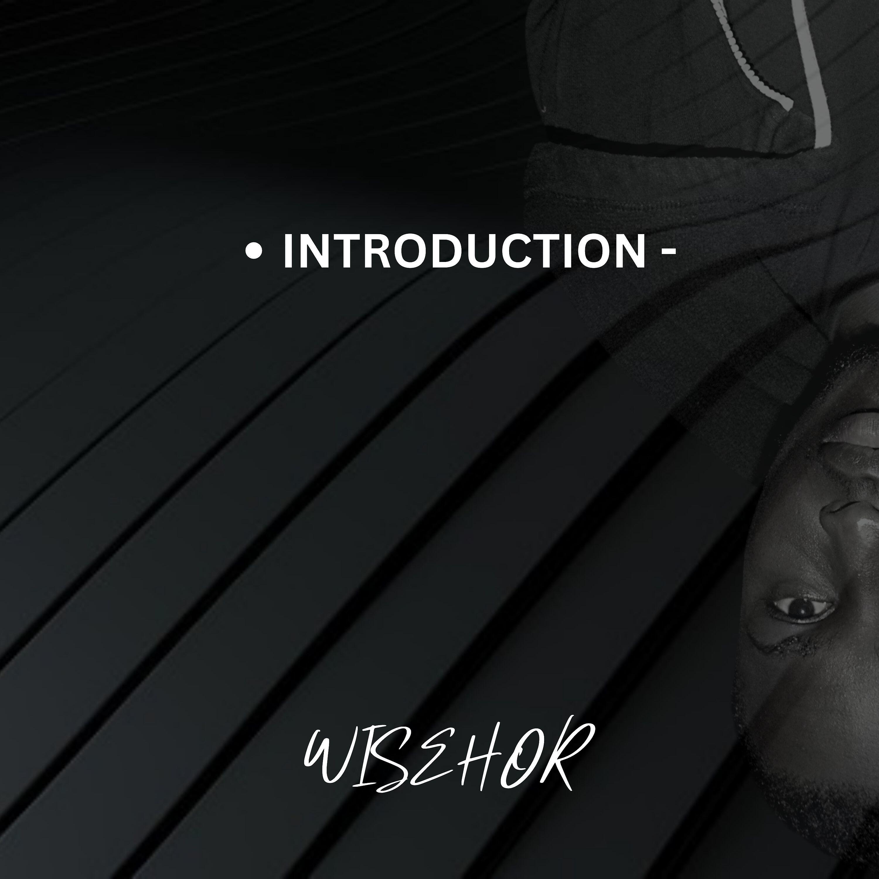 Релиз INTRODUCTION