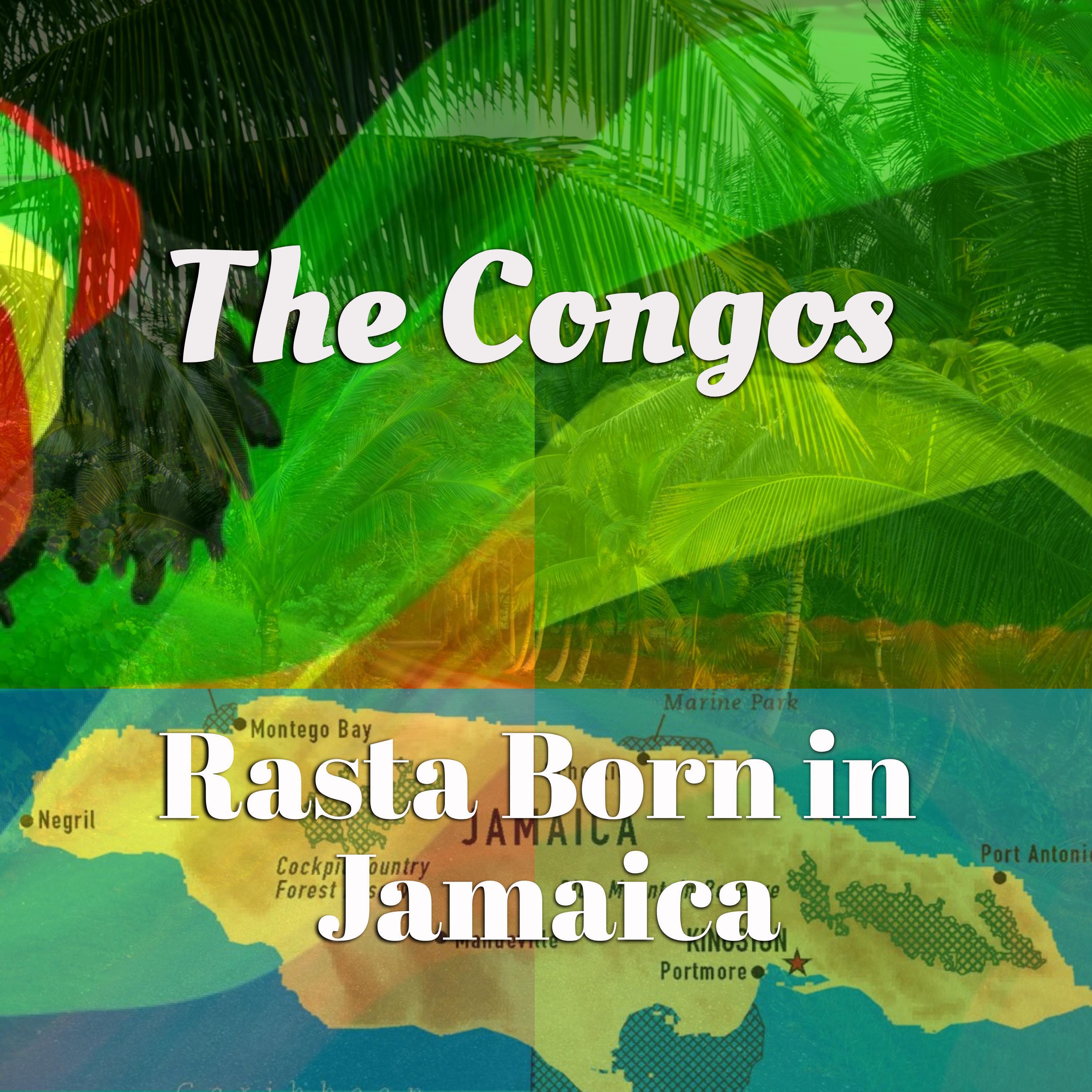 Релиз Rasta Born in Jamaica