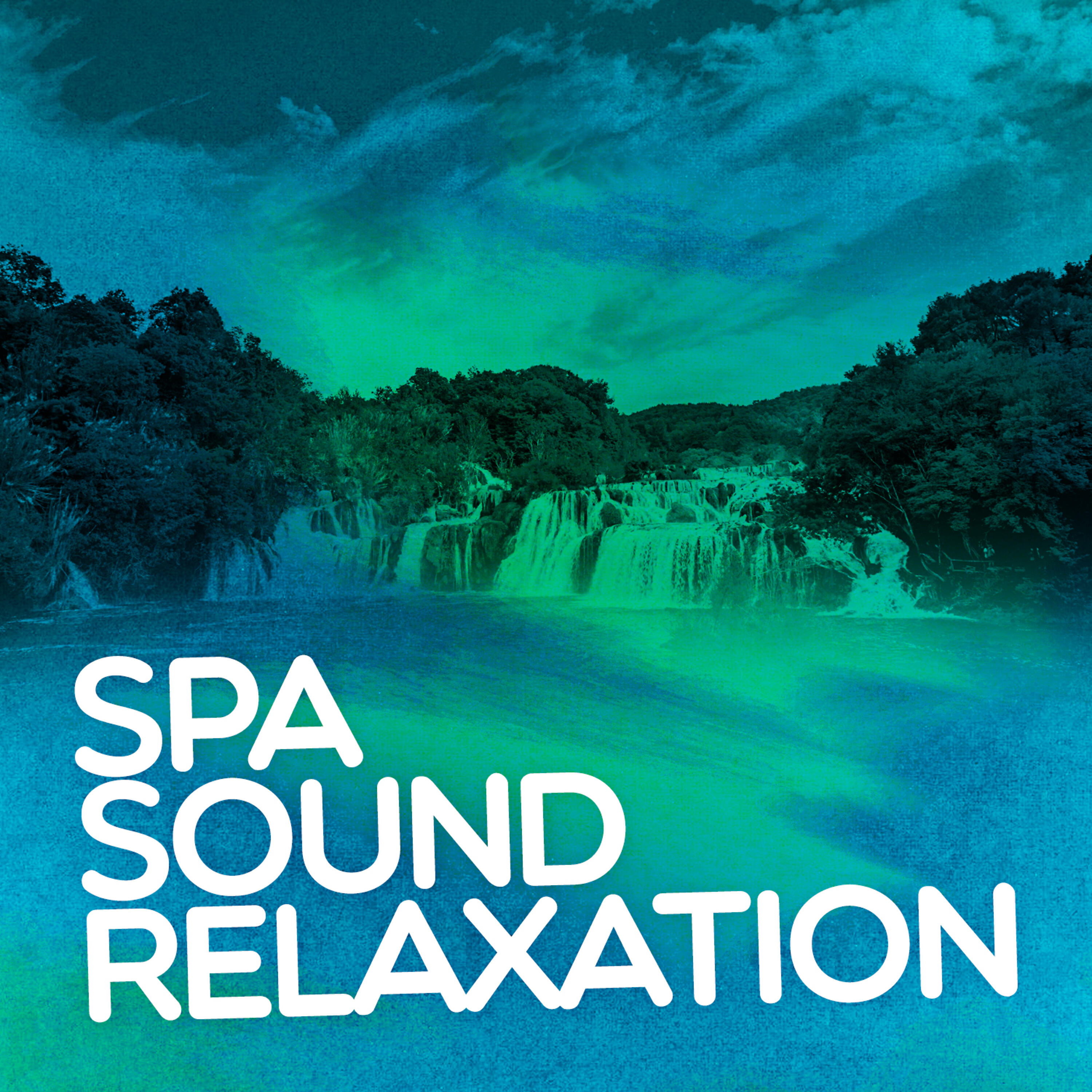 Постер альбома Spa Sound Relaxation: Healing Nature, Birdsong, Running Water, Ataraxia, Soothing Zen Sounds