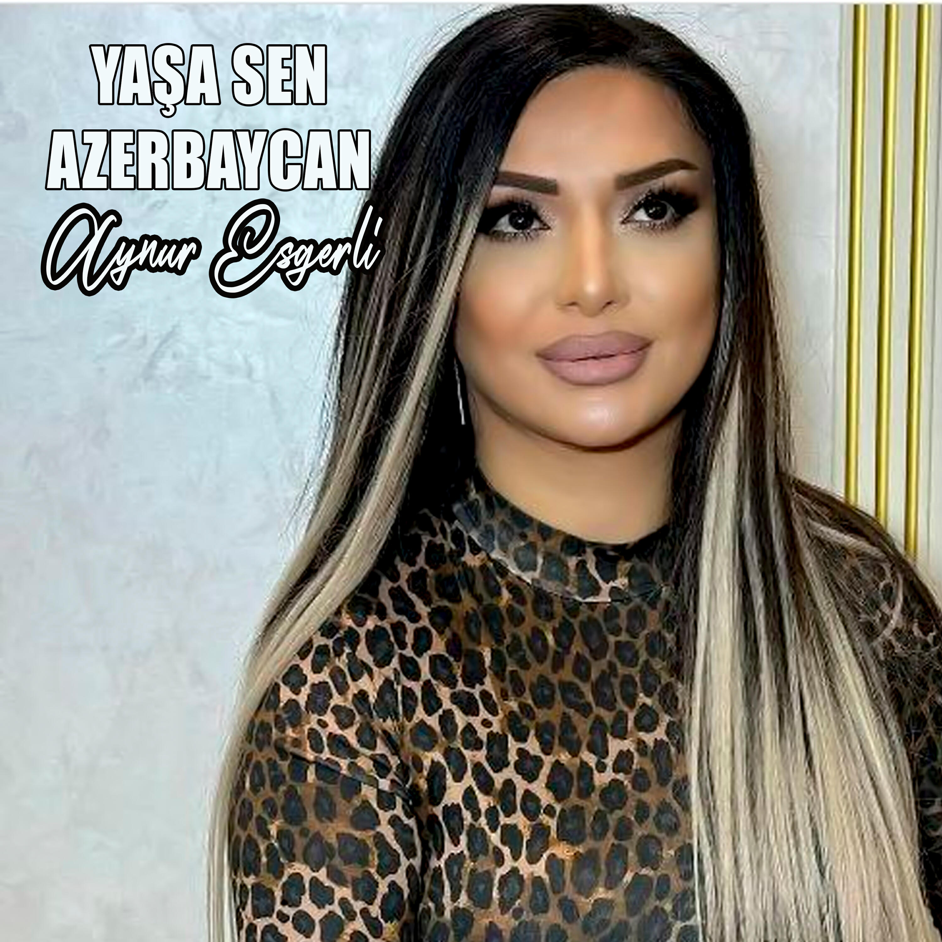 Релиз Yaşa Sen Azerbaycan