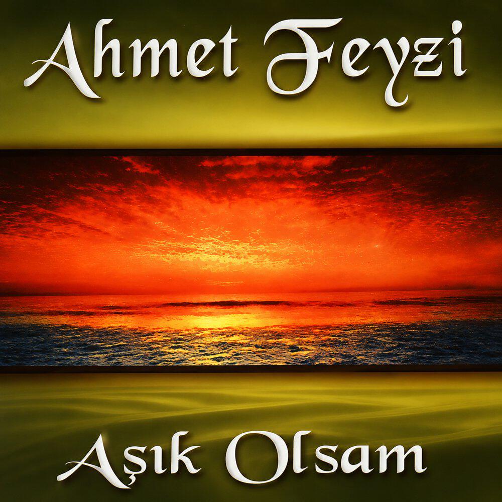 Ahmet Feyzi
