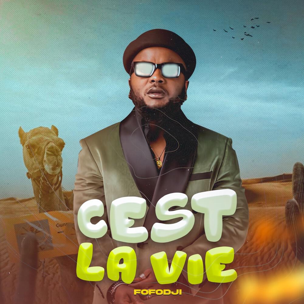 Релиз C'est la vie