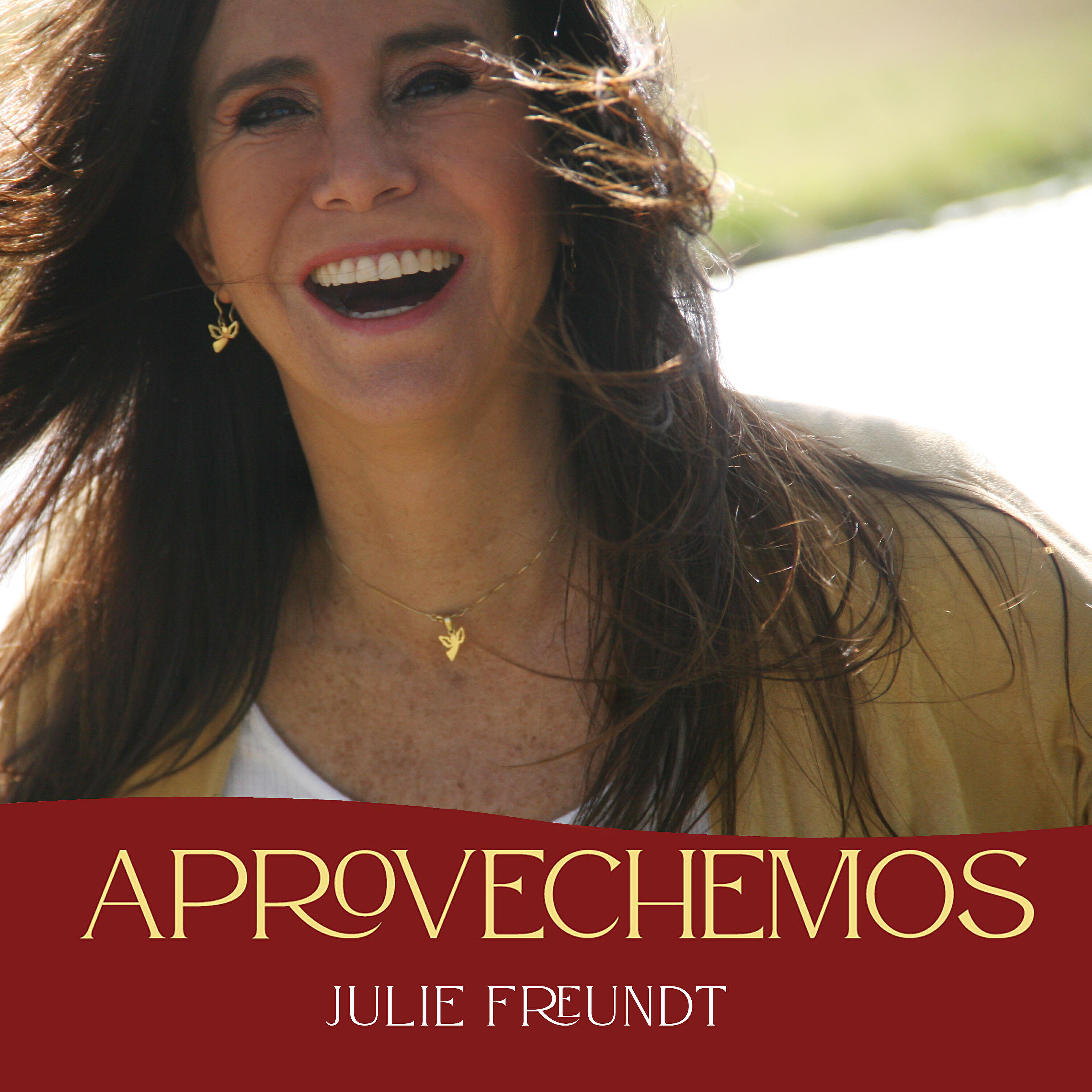 Релиз Aprovechemos