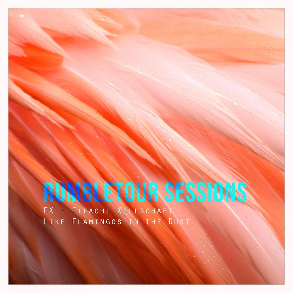 Релиз Like Flamingos in the Dust (Rumbletour Sessions)