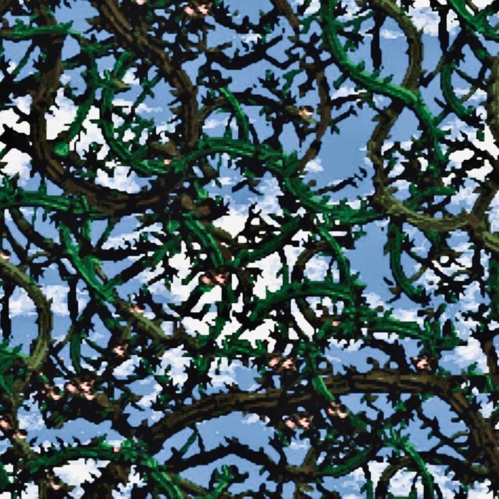 Релиз Algorithm's End