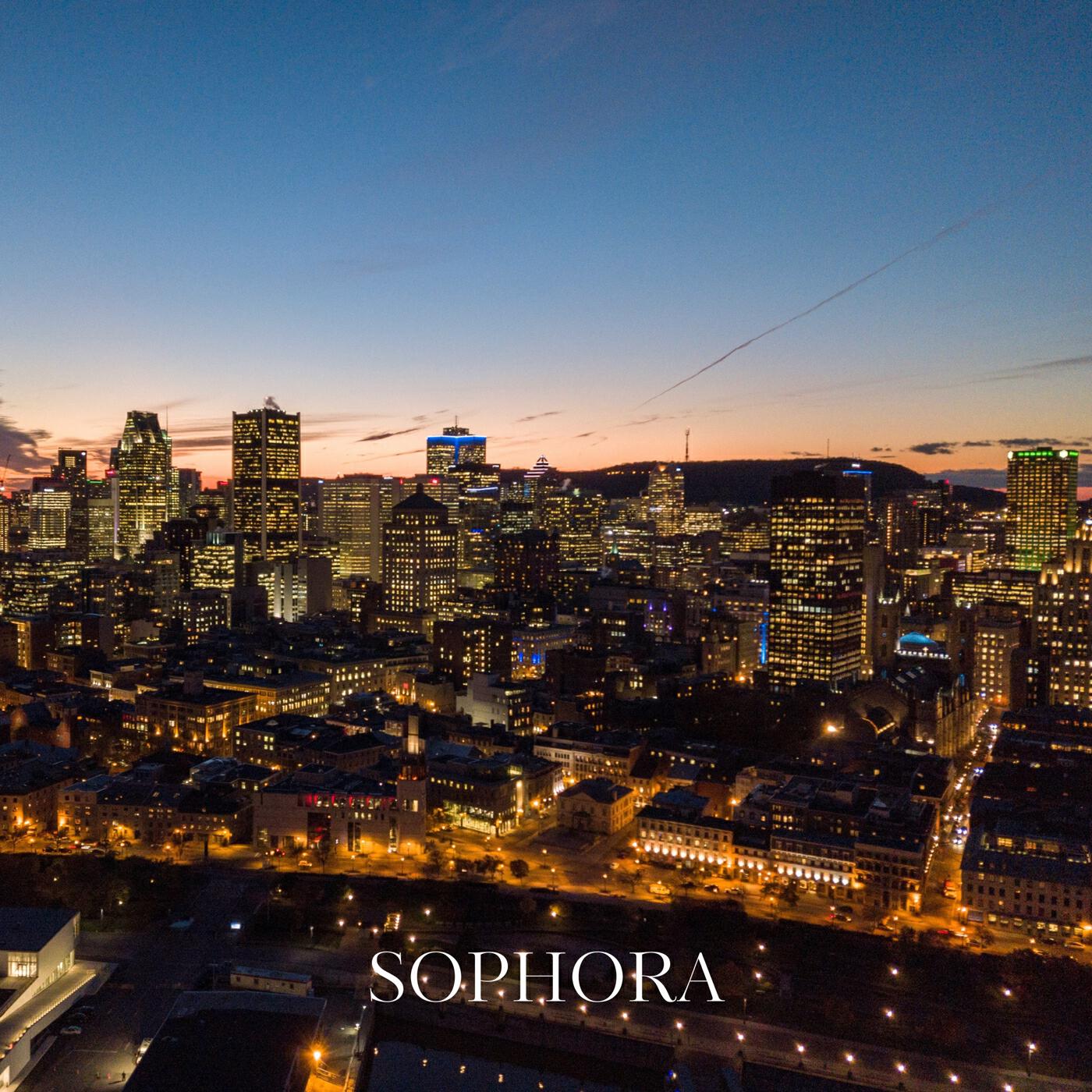 Релиз Sophora