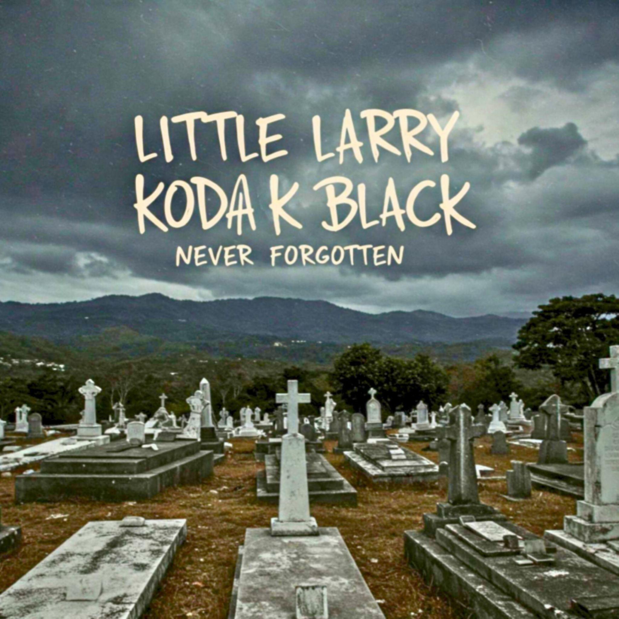 Релиз NEVER FORGOTTEN (feat. Kodak Black)