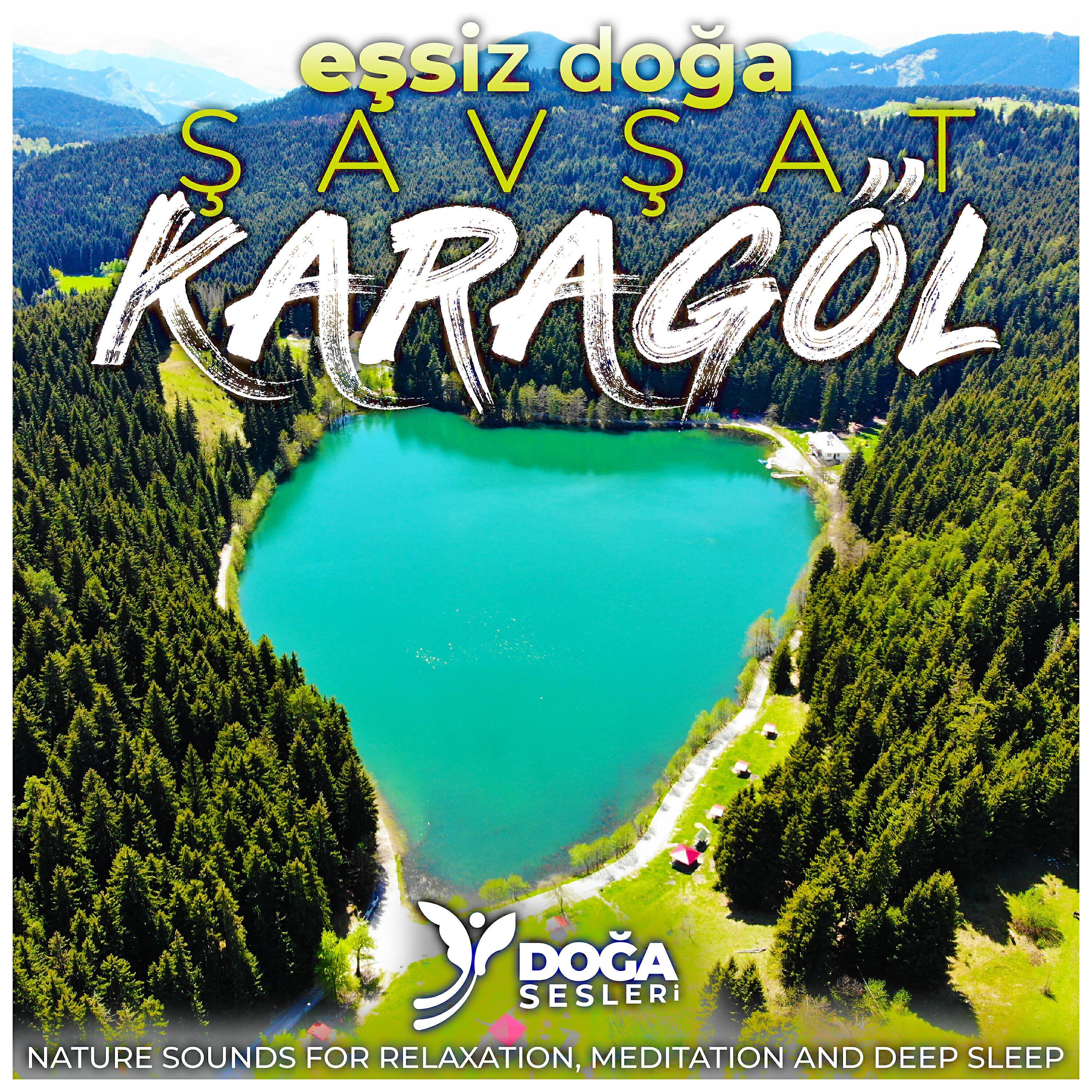 Doğa Sesleri