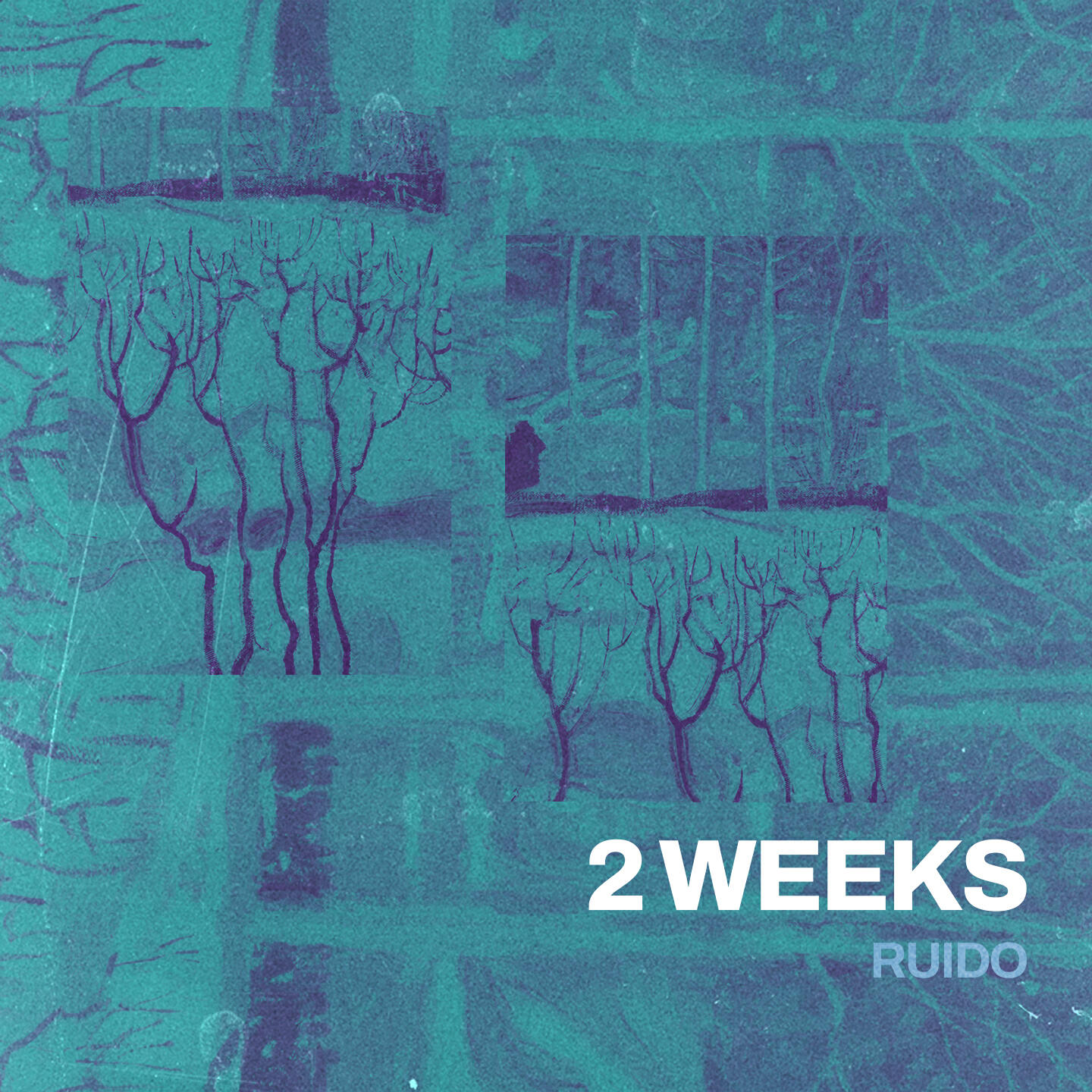 Релиз 2 WEEKS
