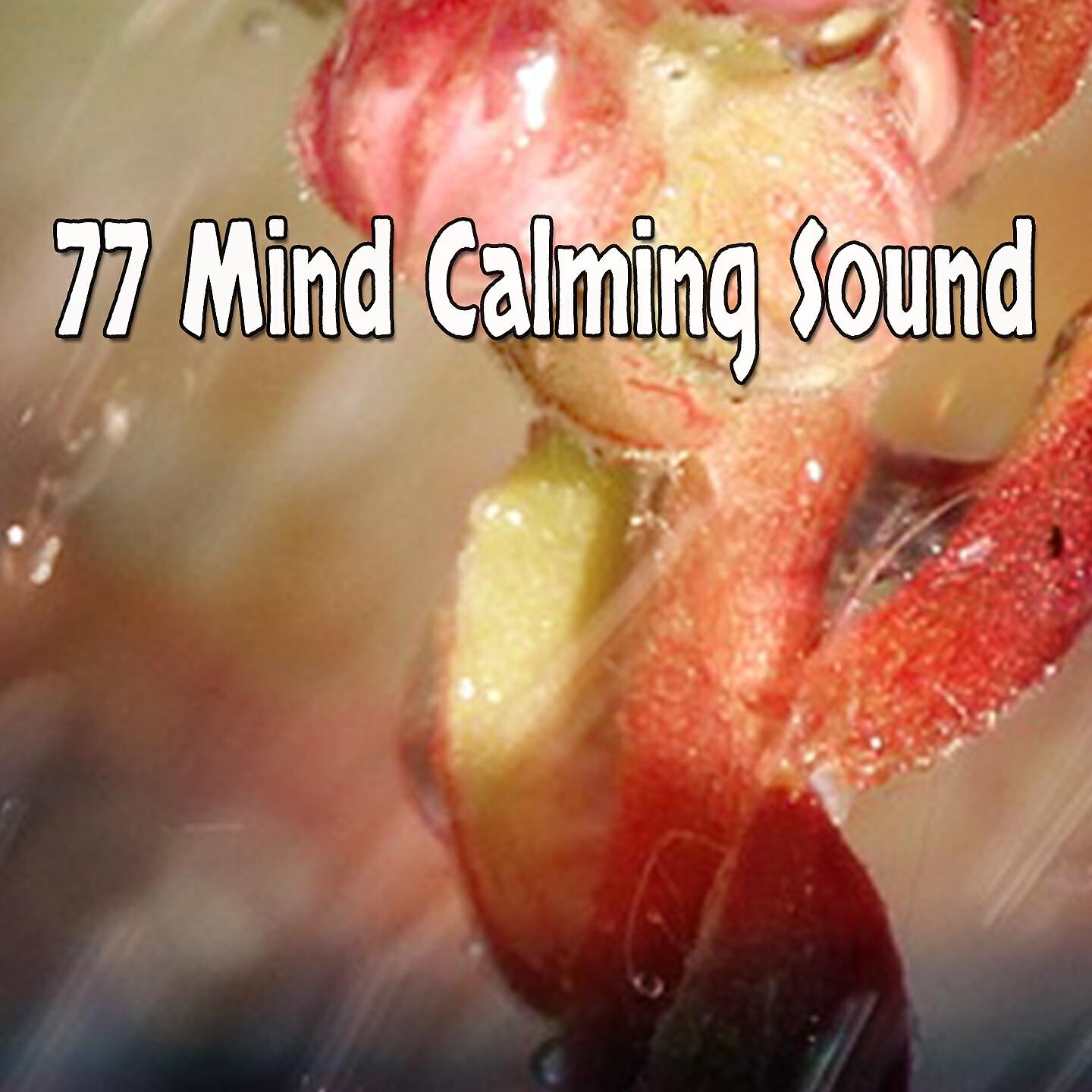 Релиз 77 Mind Calming Sound