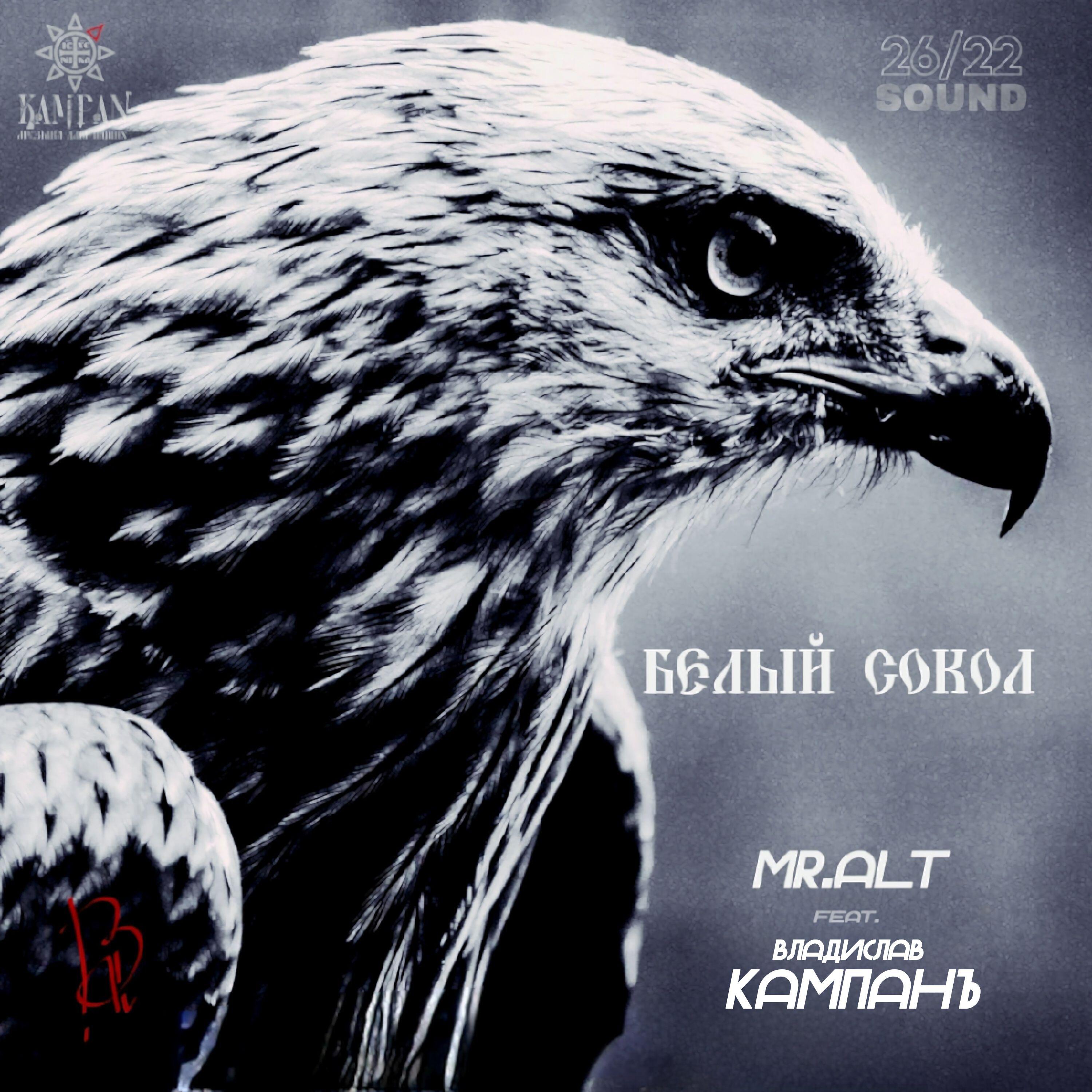 Релиз Белый сокол