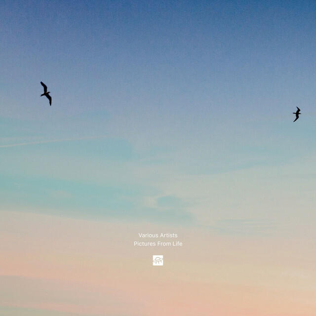 Релиз Pictures From Life