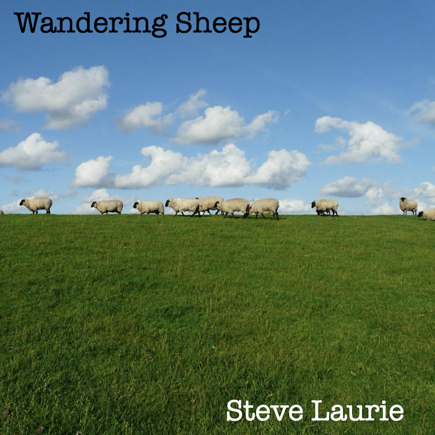 Steve Laurie