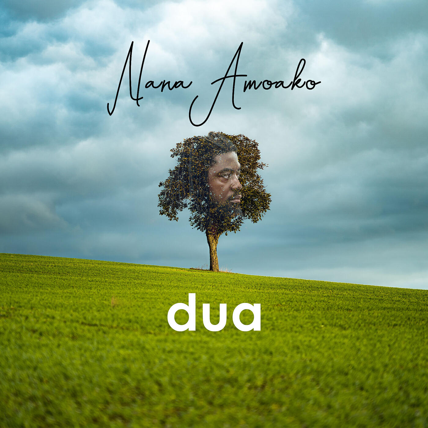 Релиз Dua