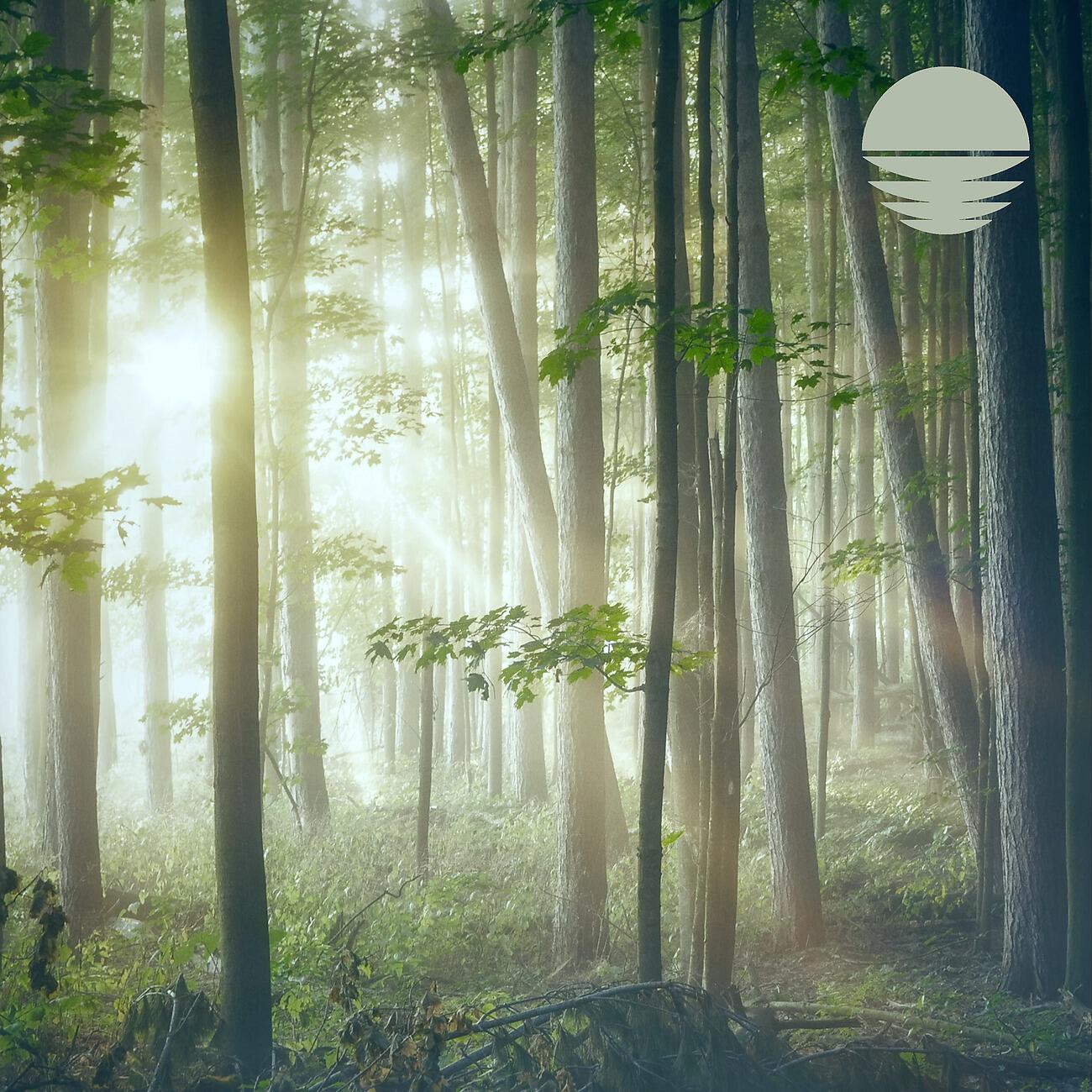Трек Black Forest (Nature)