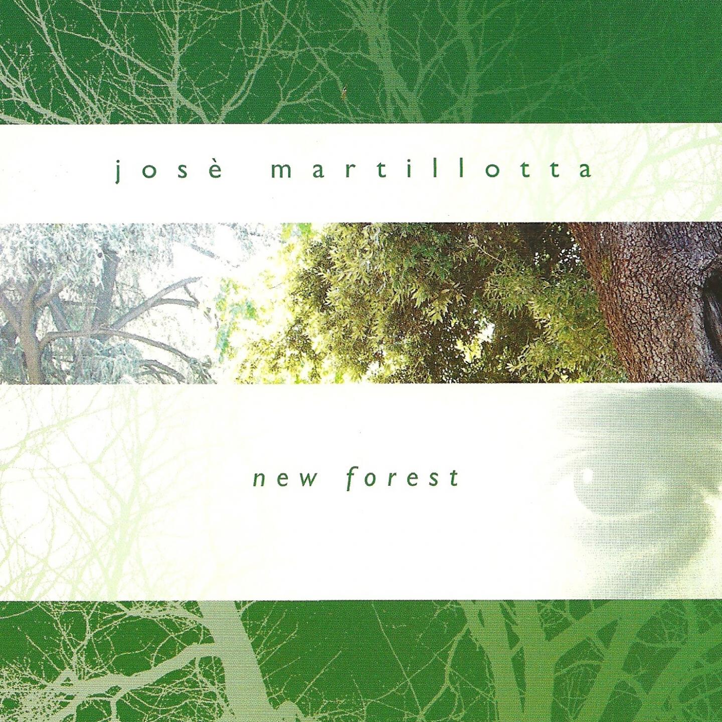 Релиз New Forest